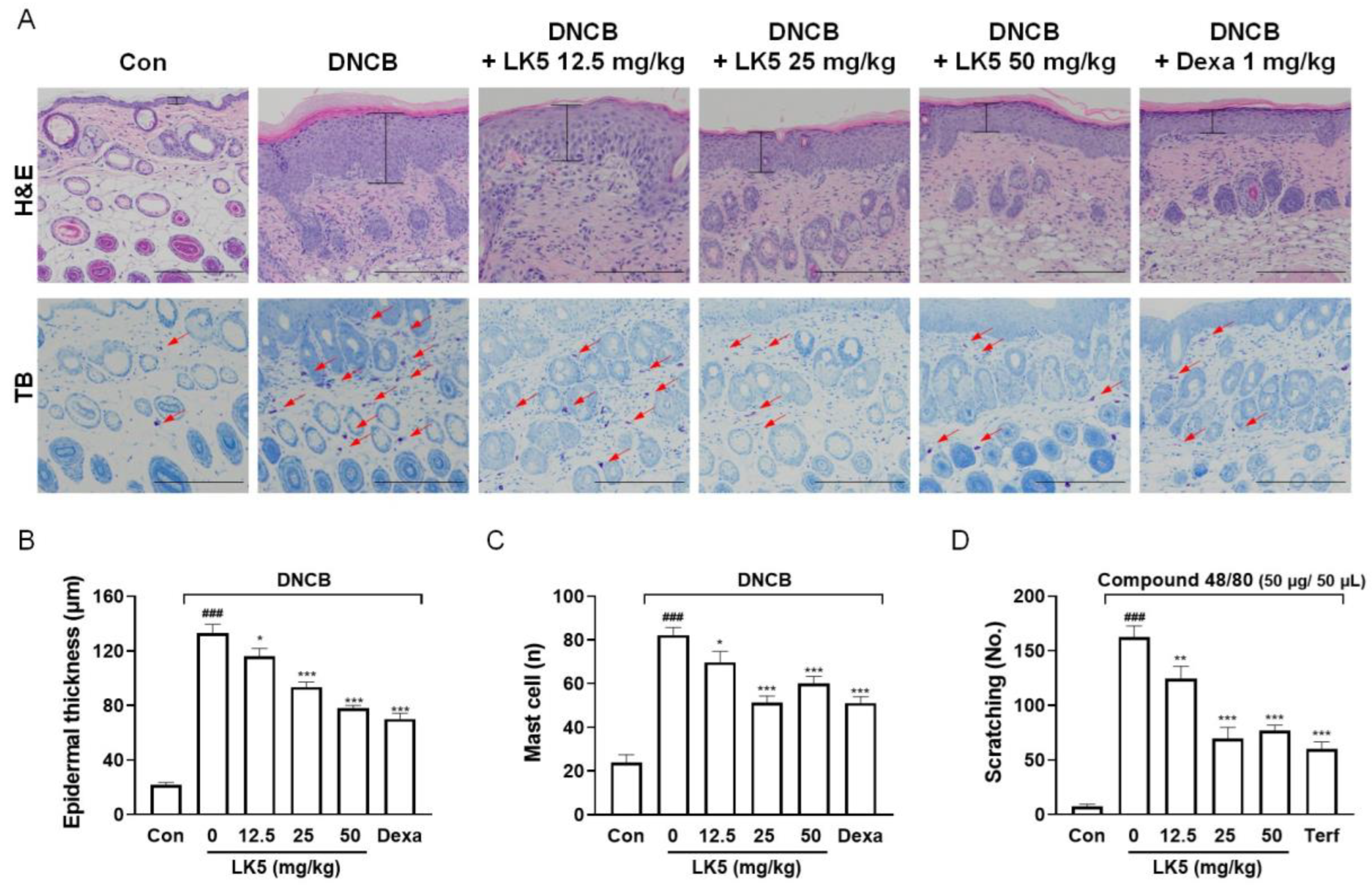 Pharmaceutics 16 00040 g007