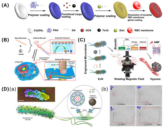 Pharmaceutics 16 00044 g002
