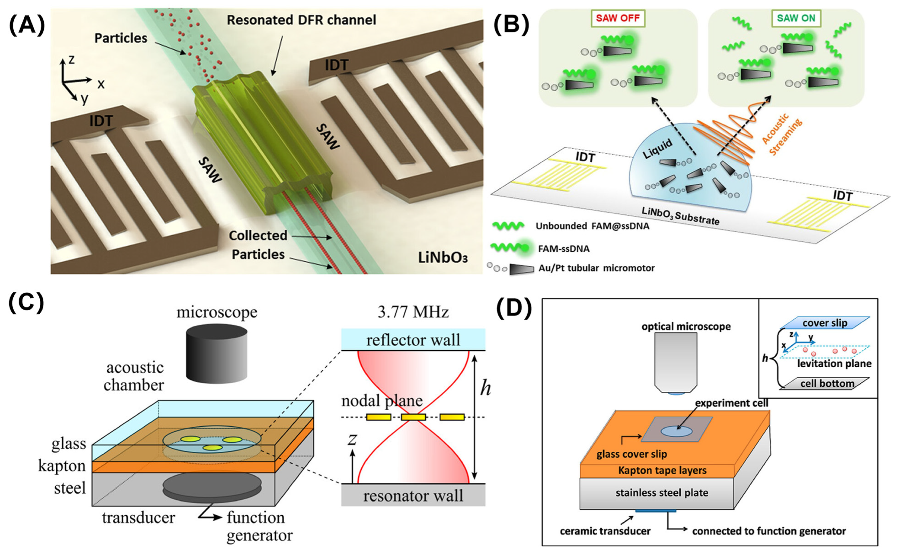 Pharmaceutics 16 00044 g003
