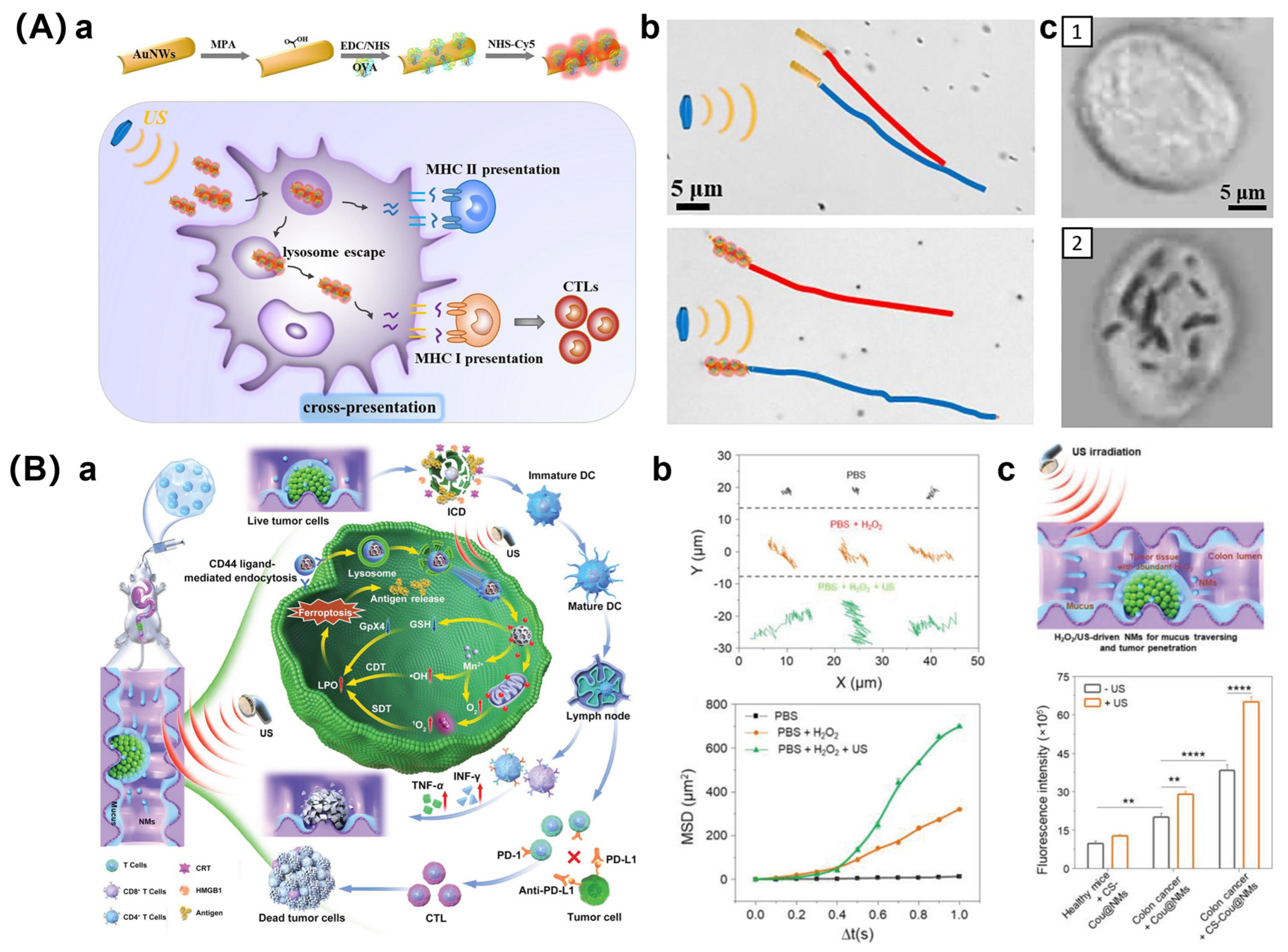 Pharmaceutics 16 00044 g004