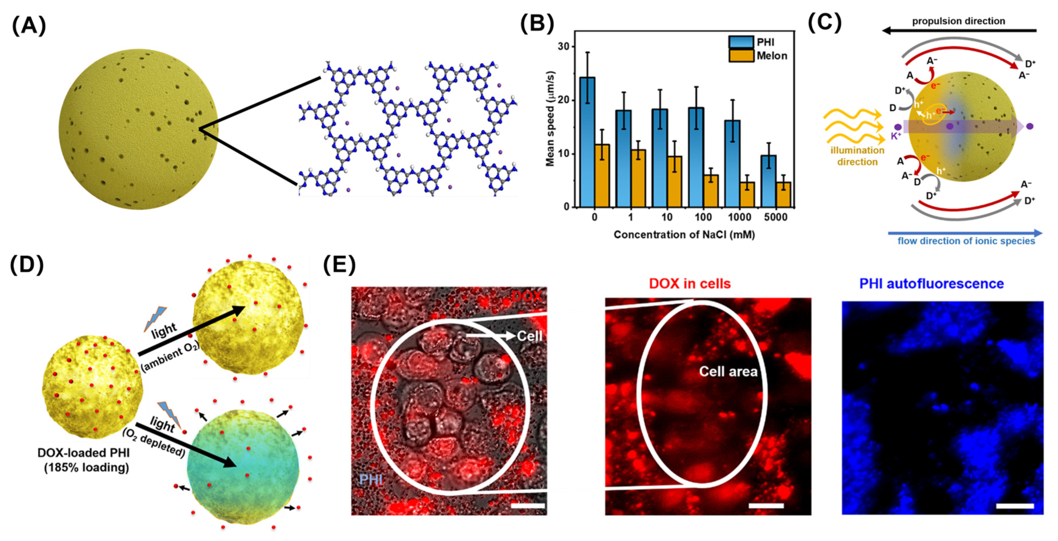 Pharmaceutics 16 00044 g005