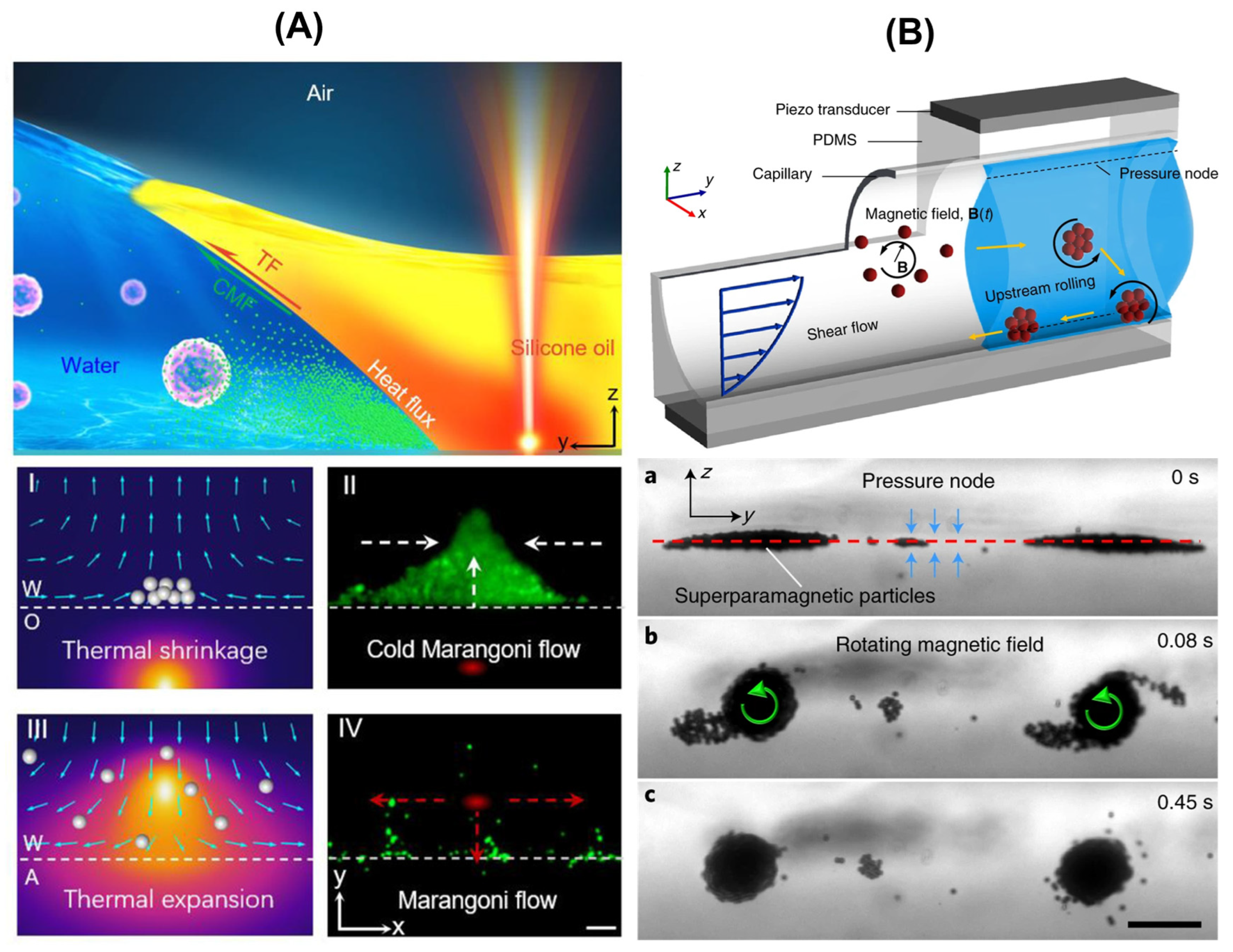 Pharmaceutics 16 00044 g007