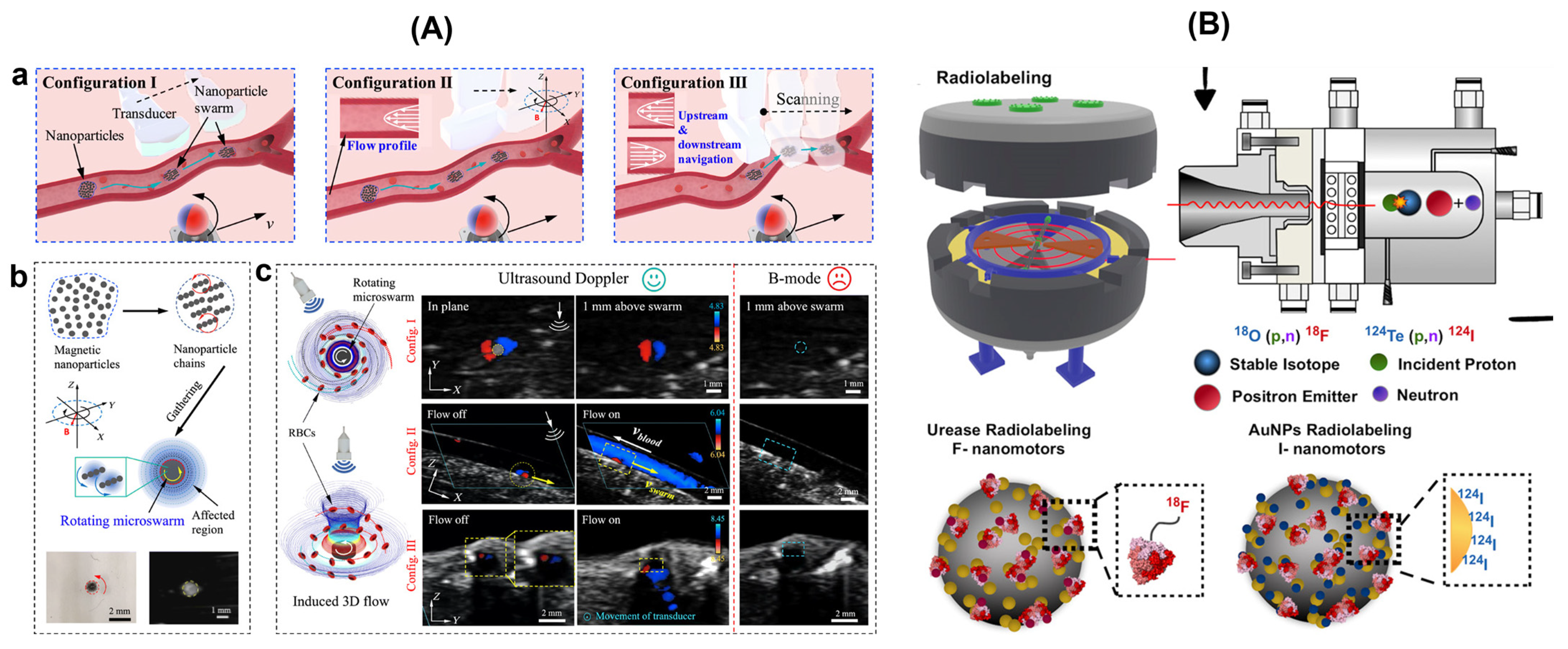 Pharmaceutics 16 00044 g008