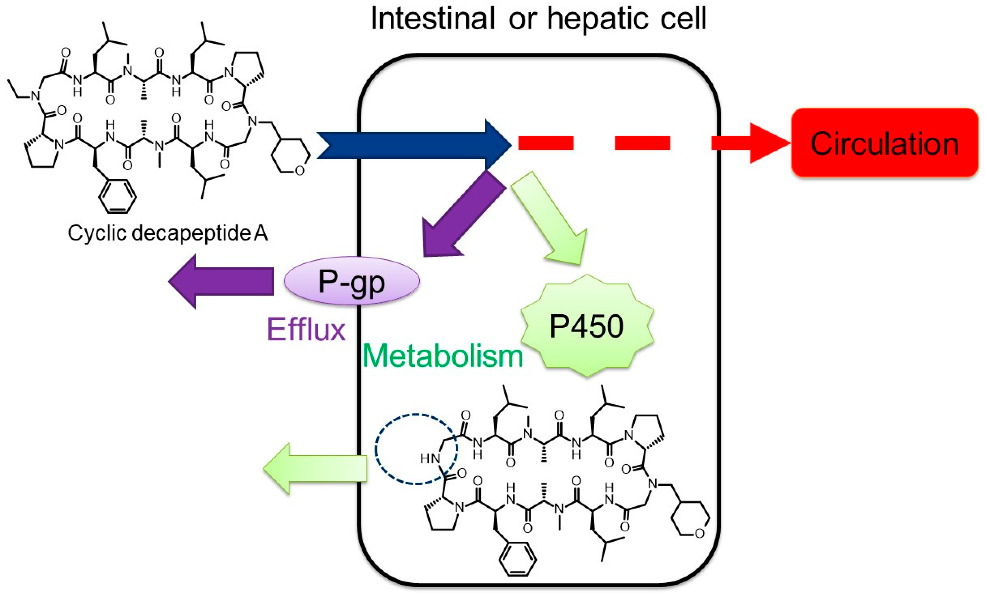 Pharmaceutics 16 00047 g008