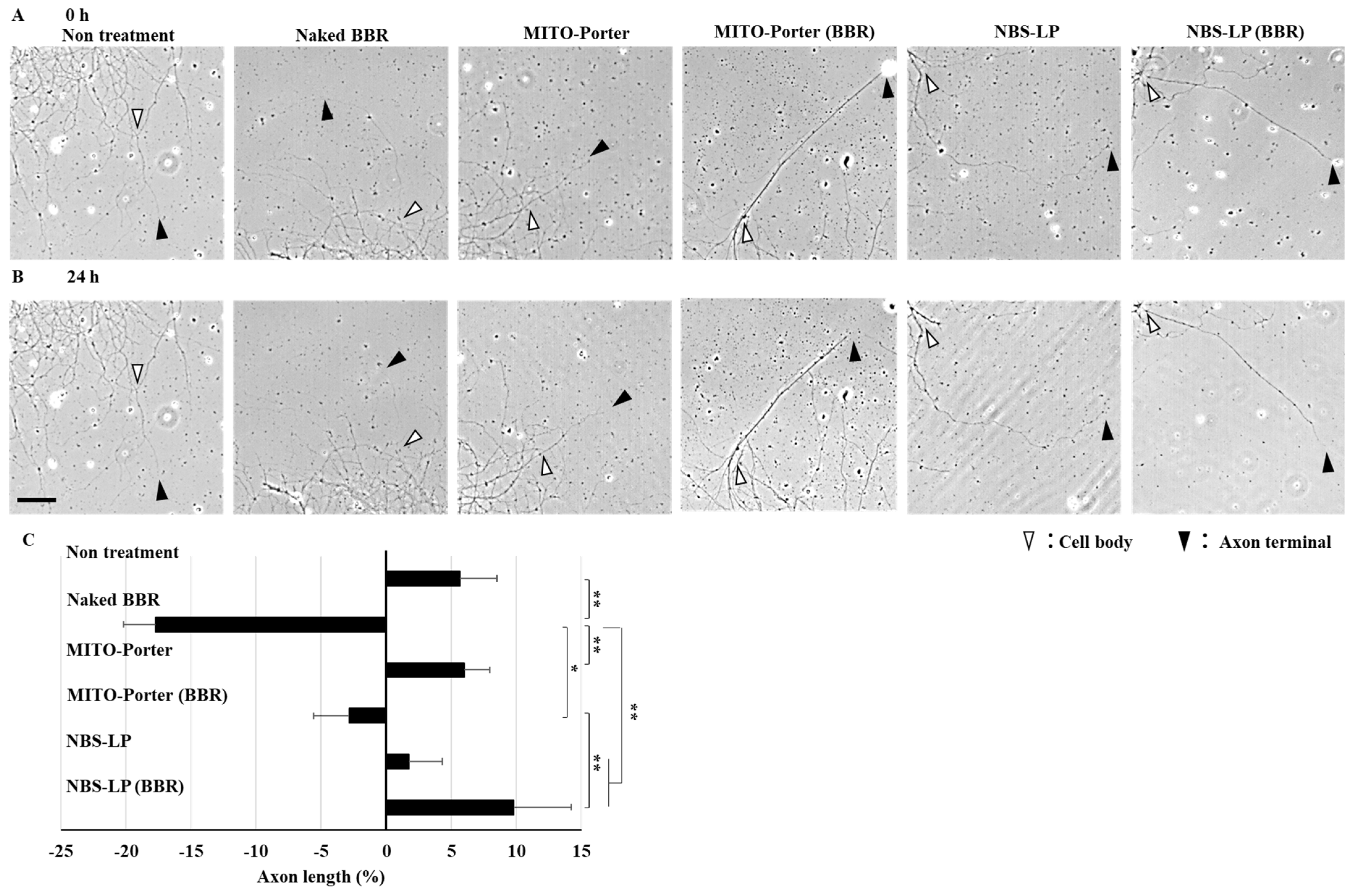 Pharmaceutics 16 00049 g005