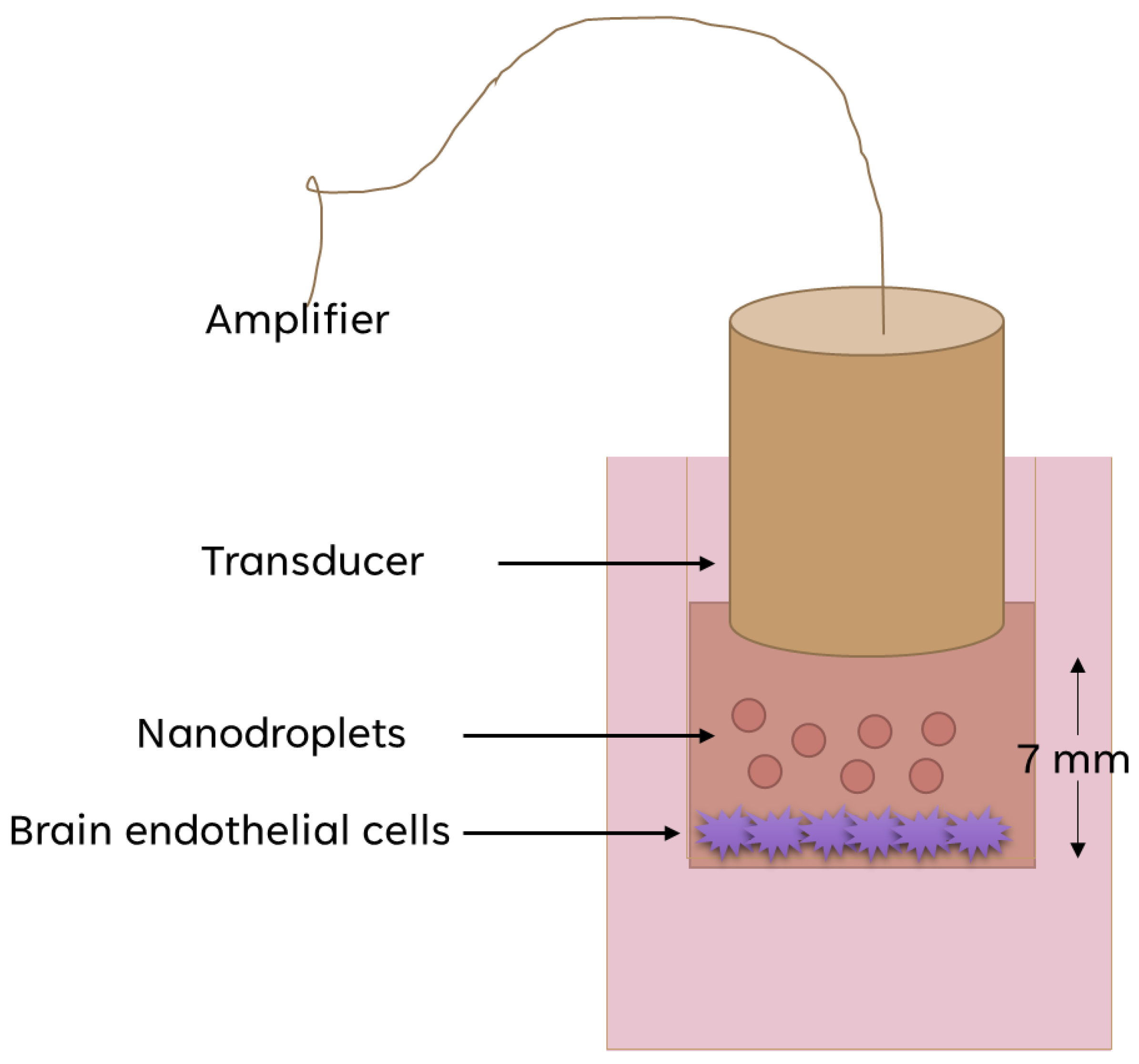 Pharmaceutics 16 00051 g002 Pharmaceutics 16 00051 g002