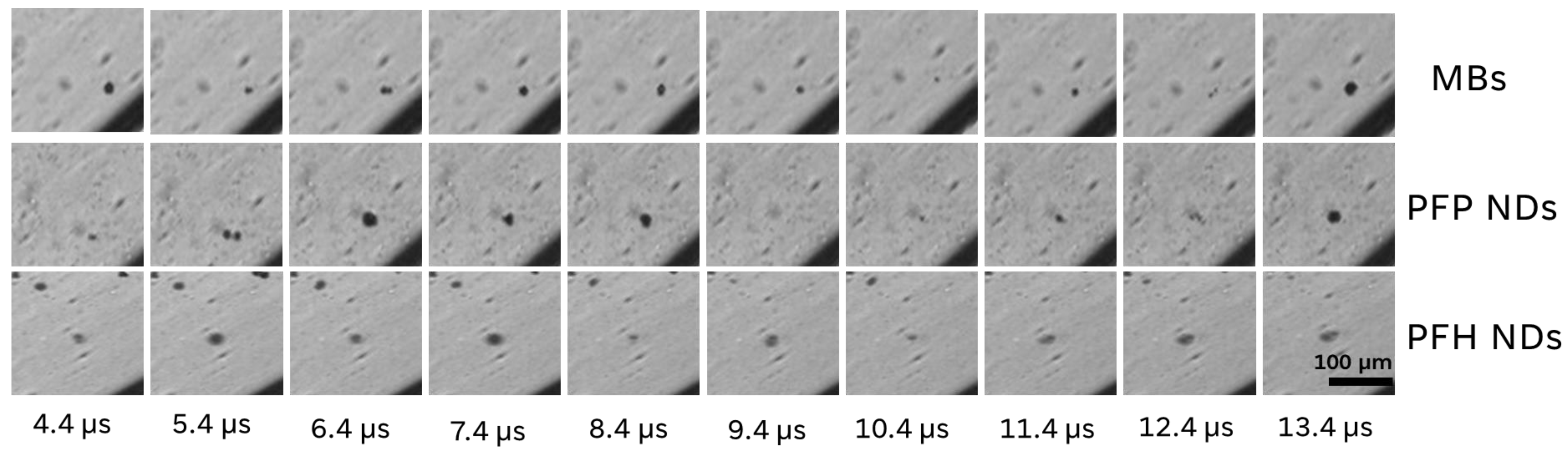 Pharmaceutics 16 00051 g005 Pharmaceutics 16 00051 g005