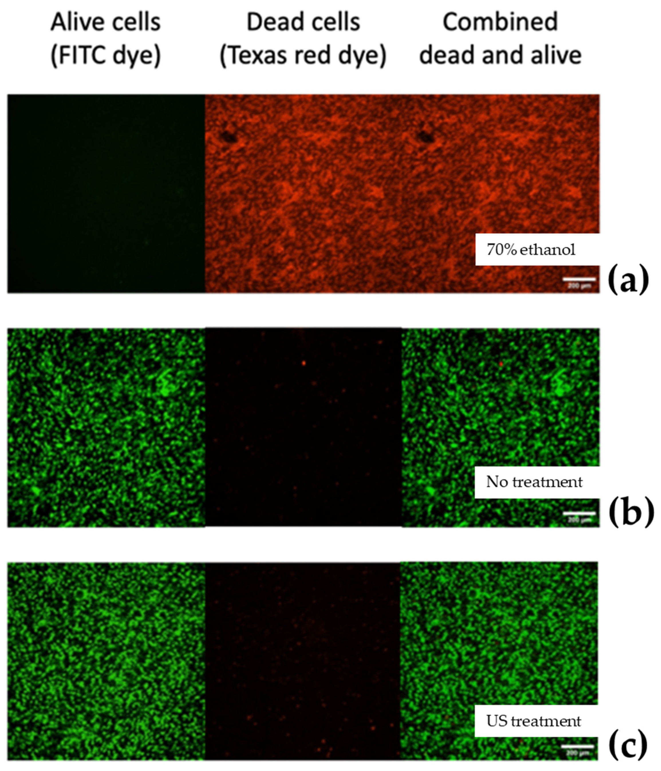 Pharmaceutics 16 00051 g007 Pharmaceutics 16 00051 g007