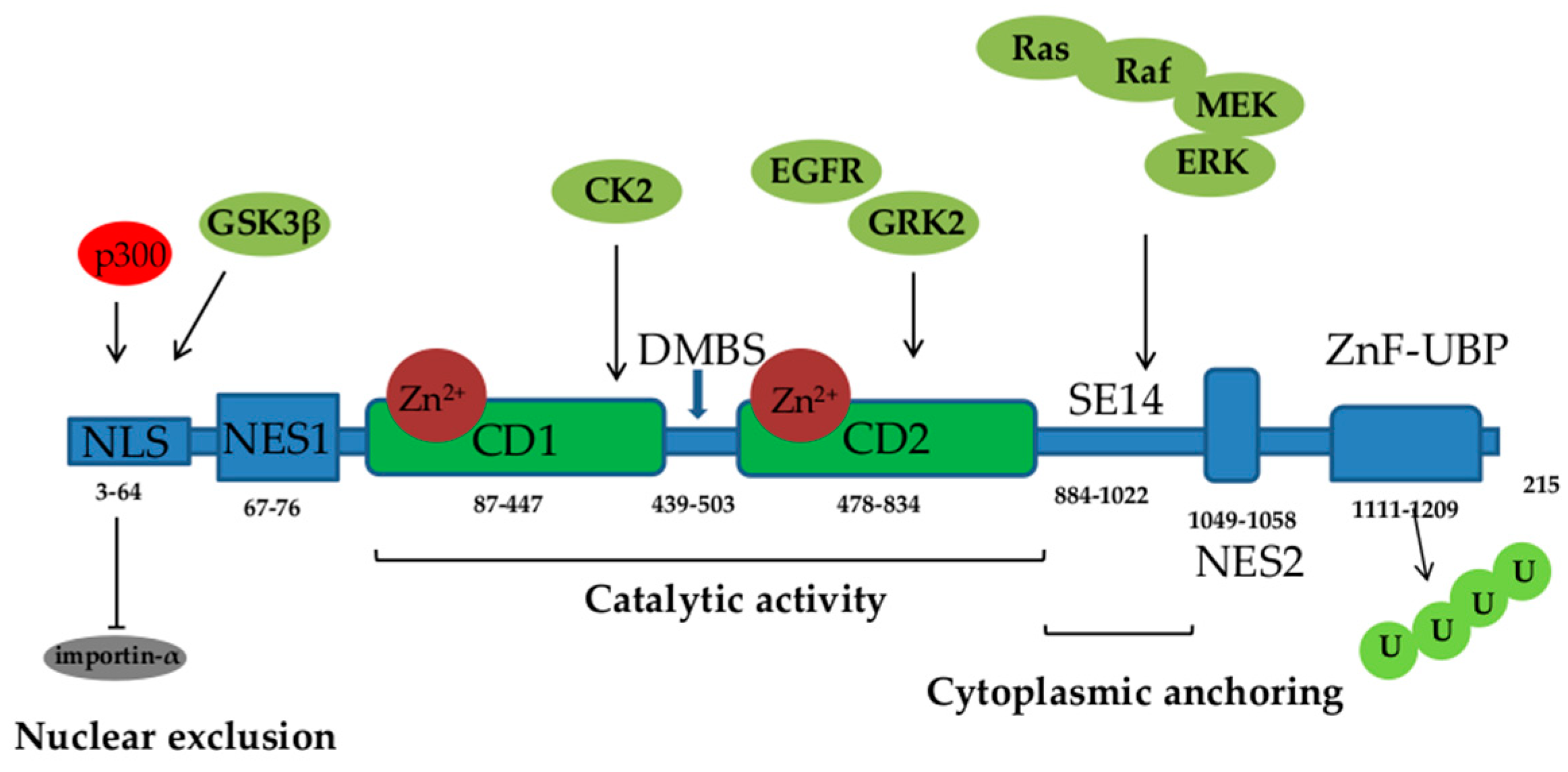 Pharmaceutics 16 00054 g001 Pharmaceutics 16 00054 g001
