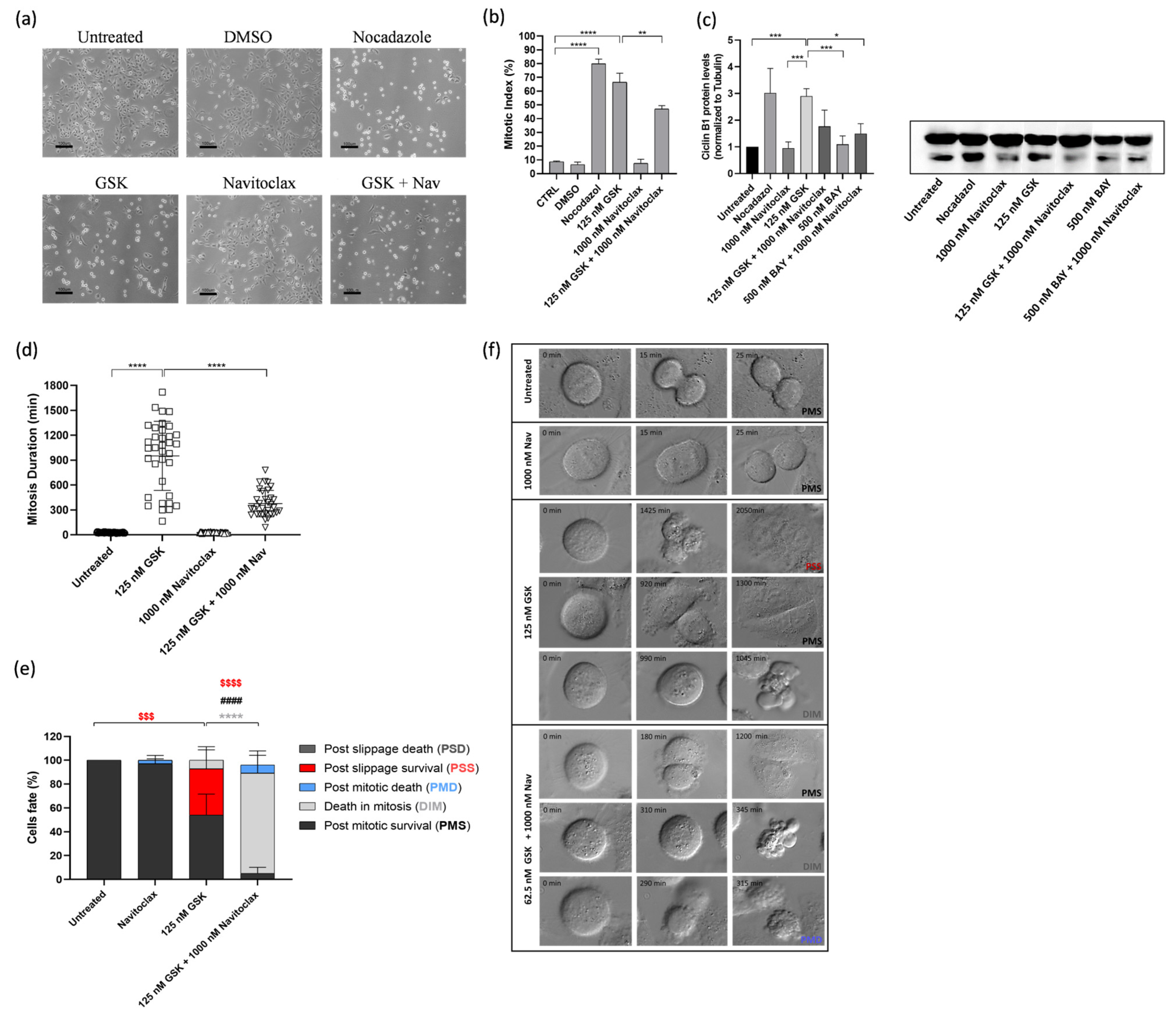 Pharmaceutics 16 00056 g003