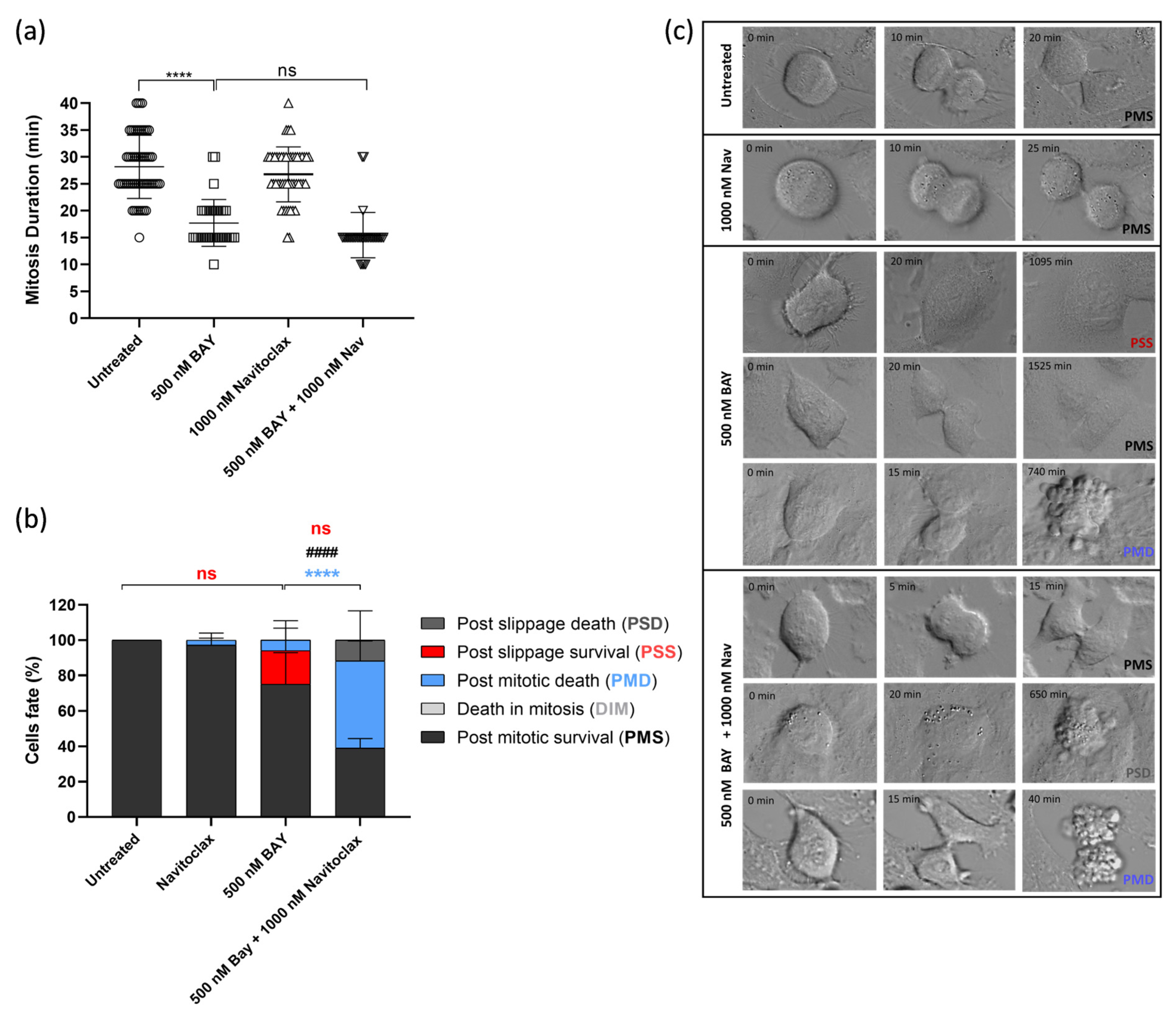 Pharmaceutics 16 00056 g005