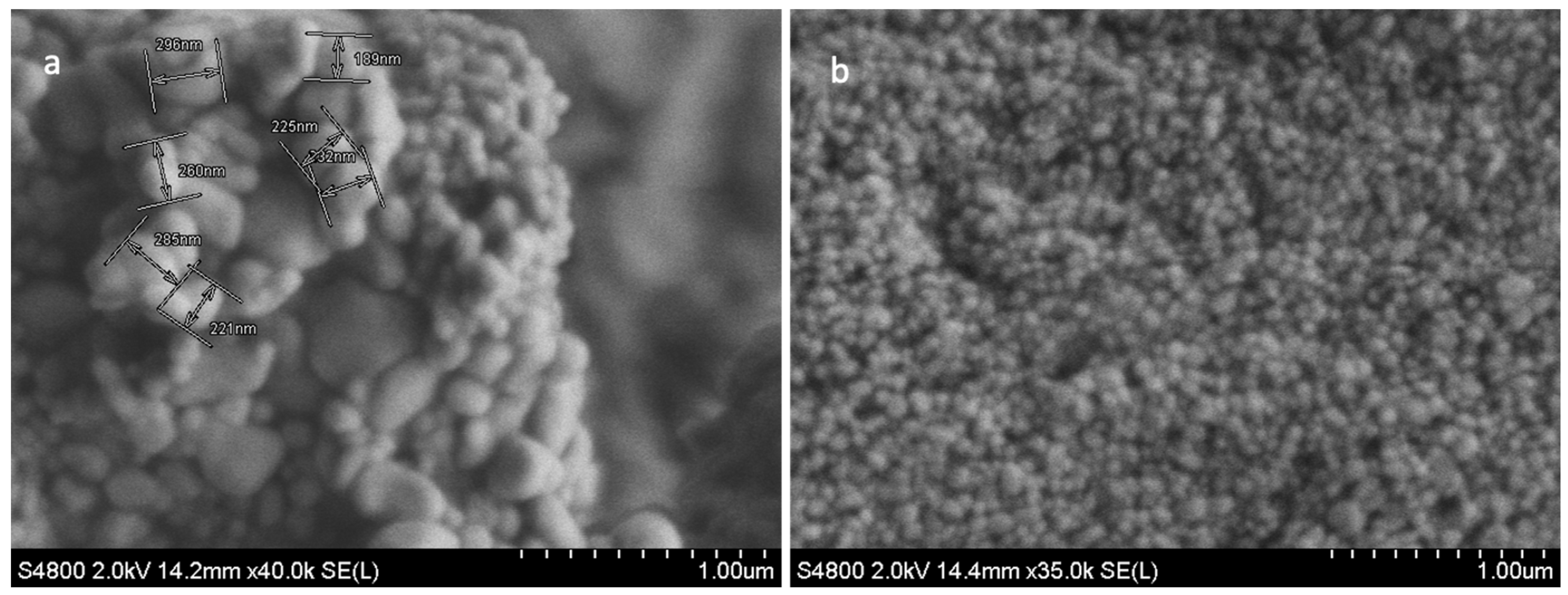 Pharmaceutics 16 00057 g001
