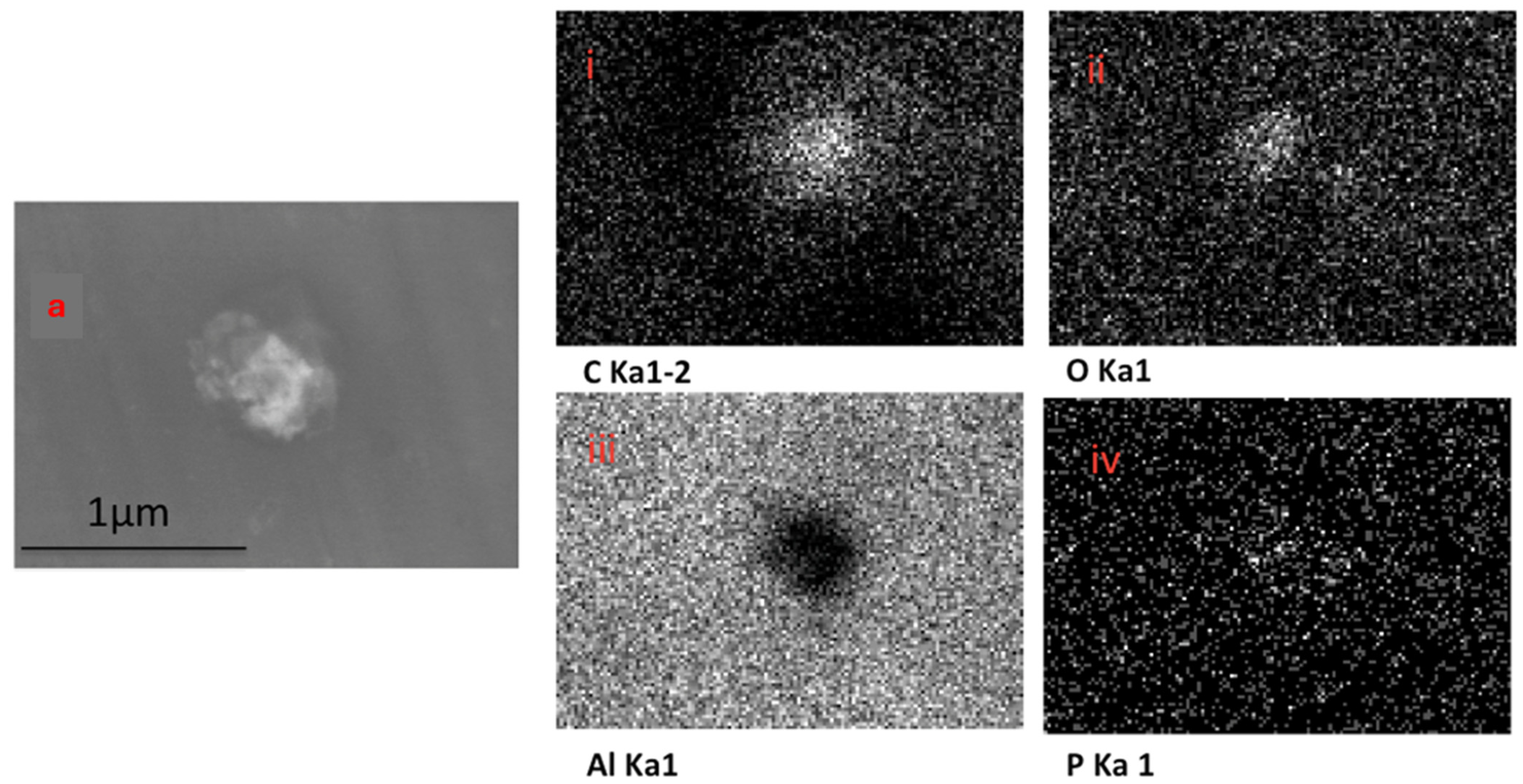 Pharmaceutics 16 00057 g006