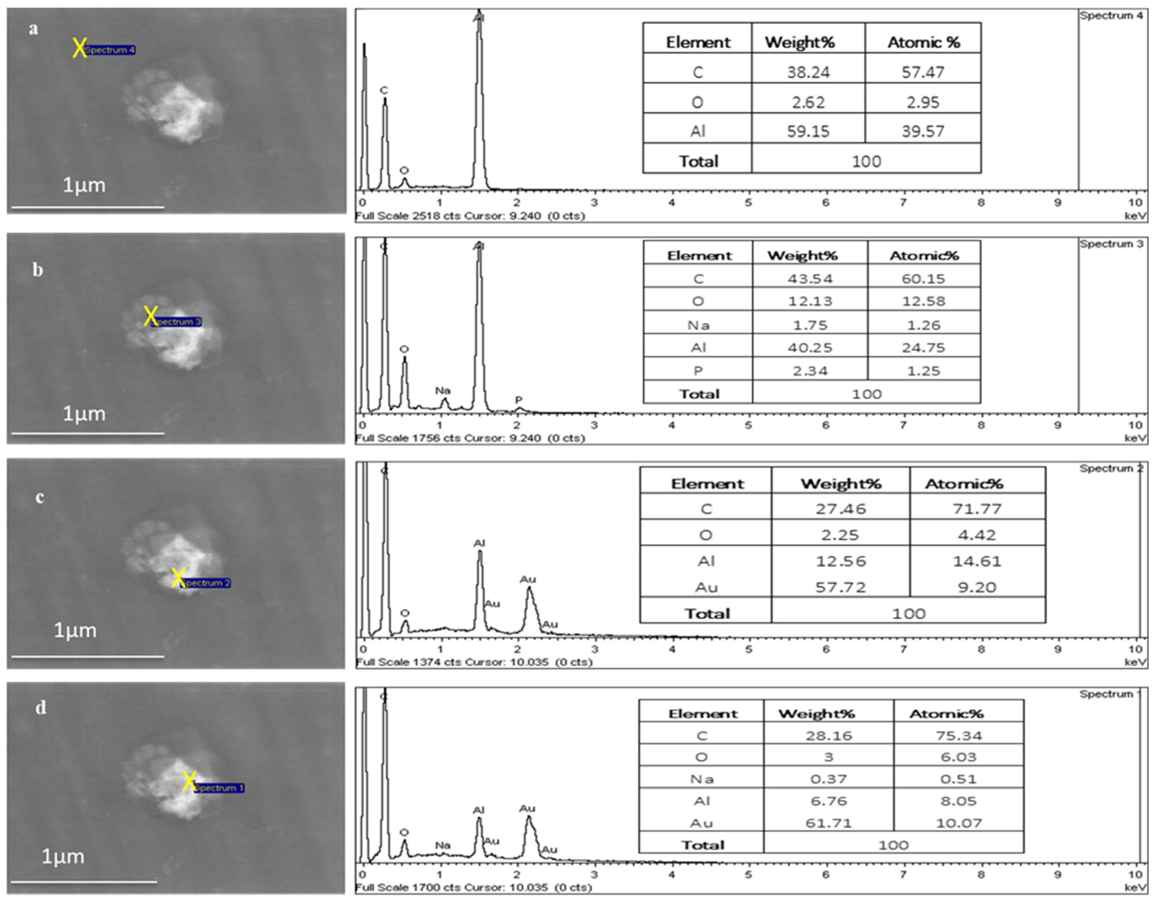 Pharmaceutics 16 00057 g008