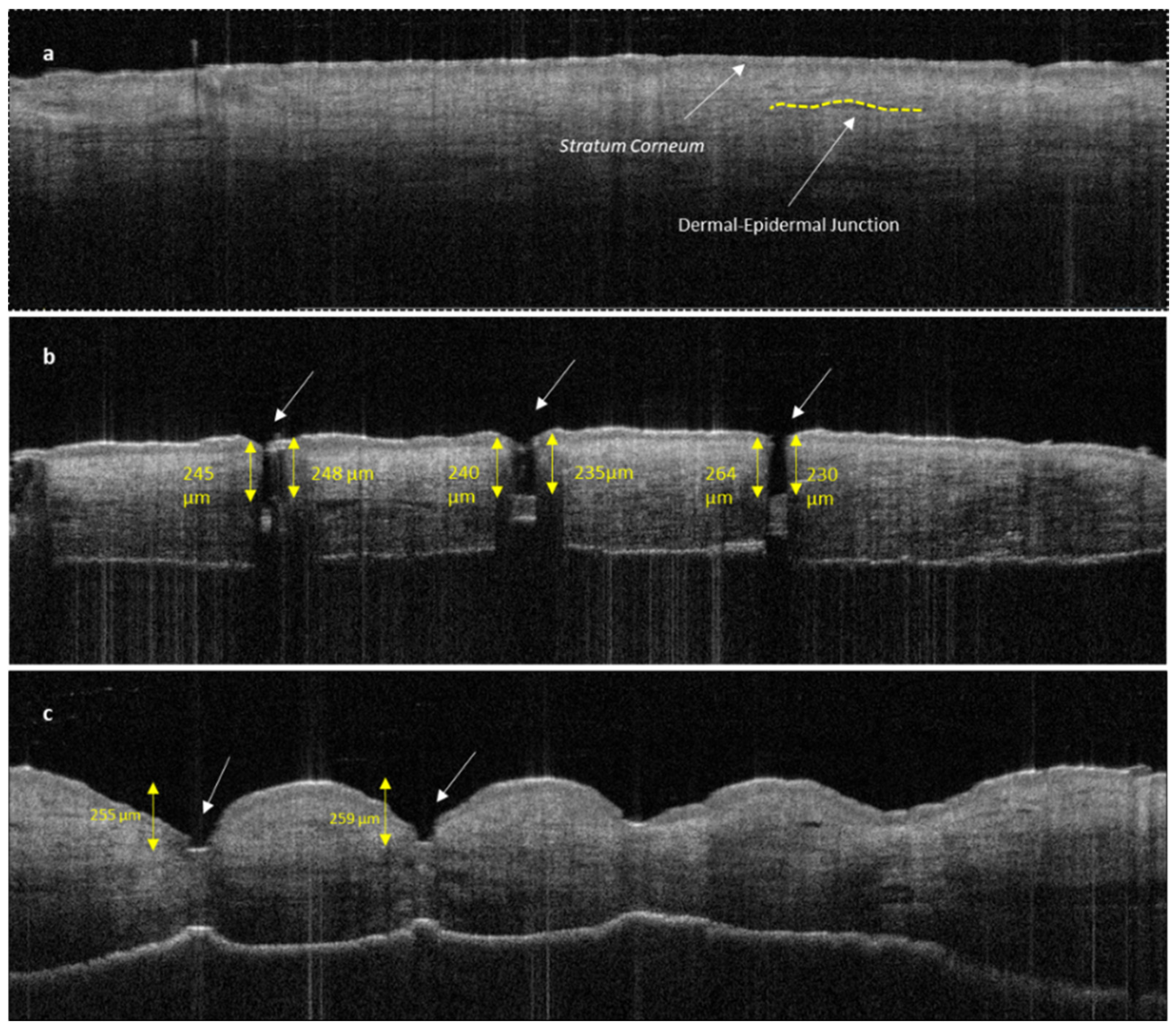 Pharmaceutics 16 00057 g010