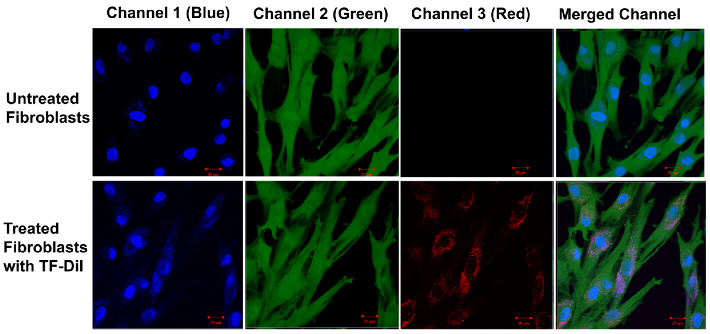 Pharmaceutics 16 00057 g015