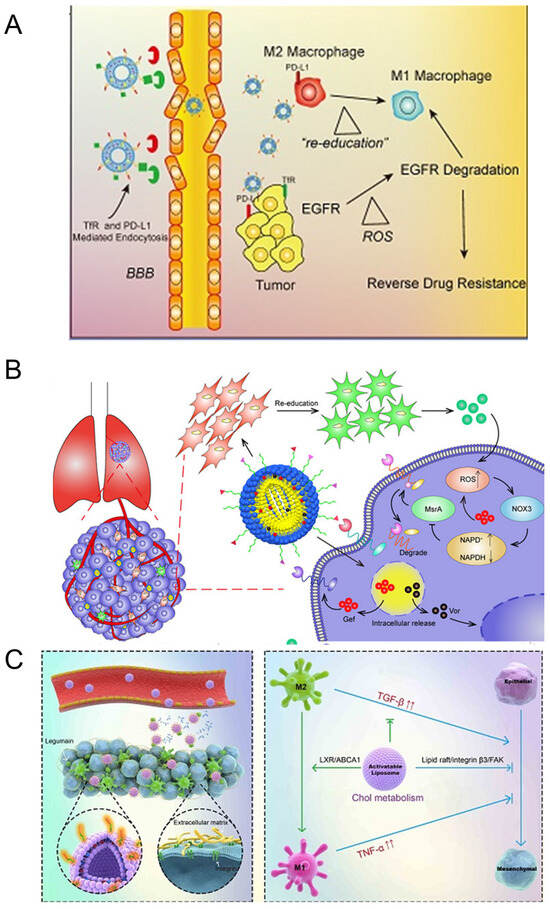 Pharmaceutics 16 00061 g007