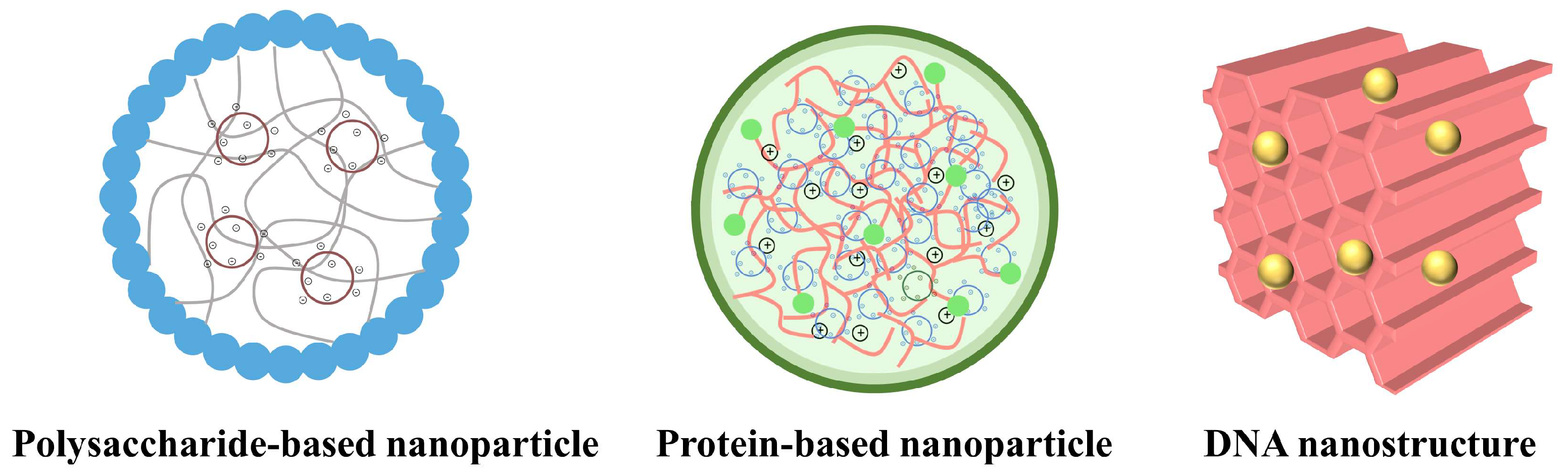 Pharmaceutics 16 00062 g003