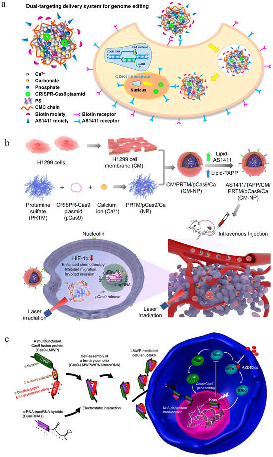 Pharmaceutics 16 00062 g005