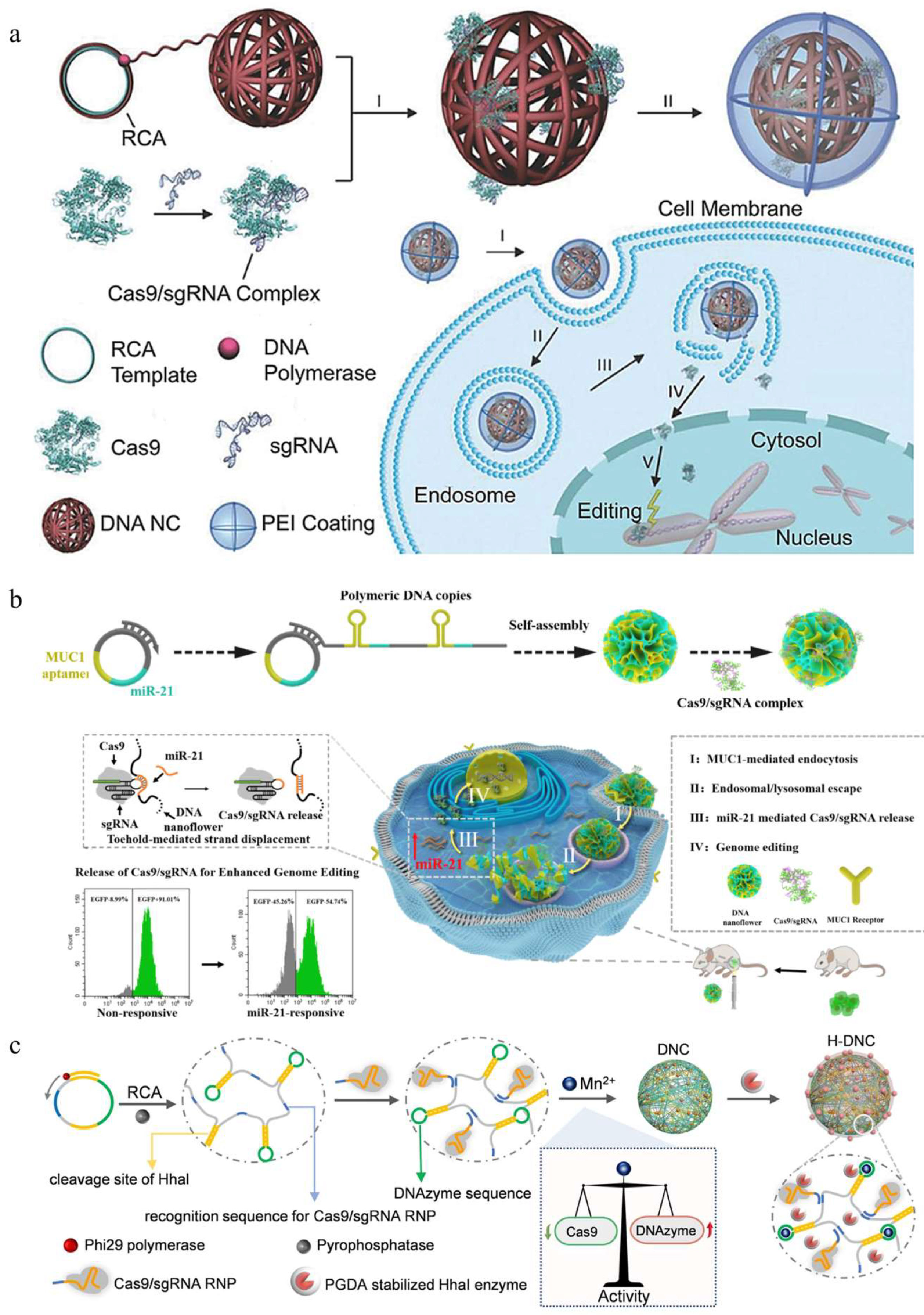 Pharmaceutics 16 00062 g006