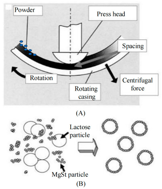 Pharmaceutics 16 00068 g003