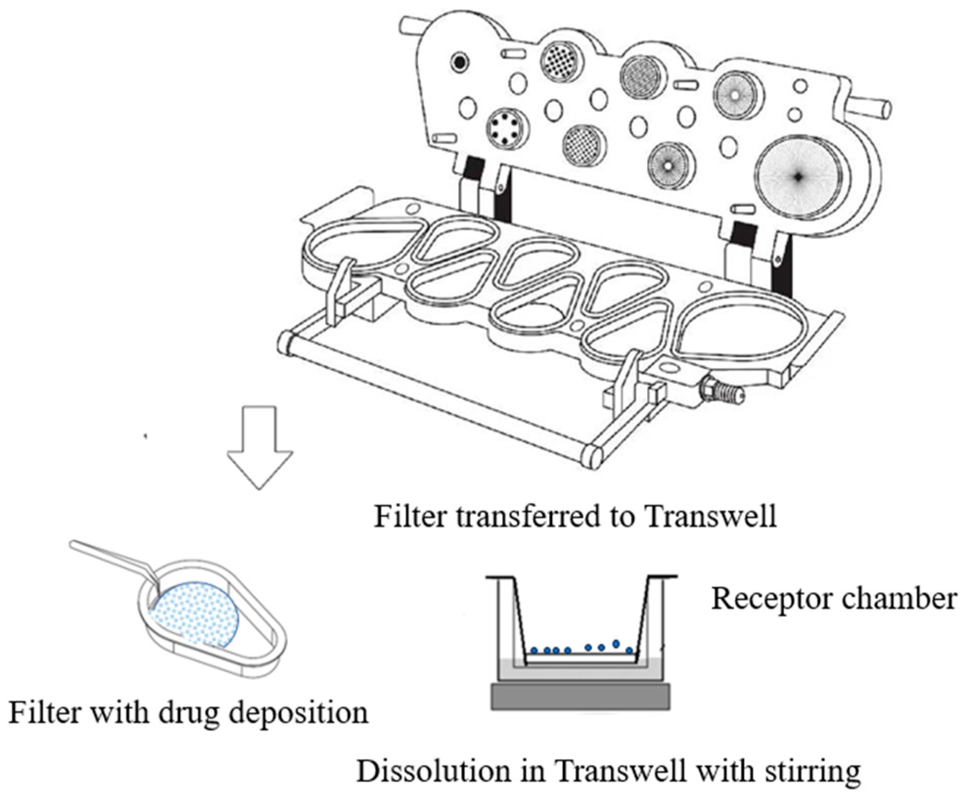 Pharmaceutics 16 00068 g005 Pharmaceutics 16 00068 g005