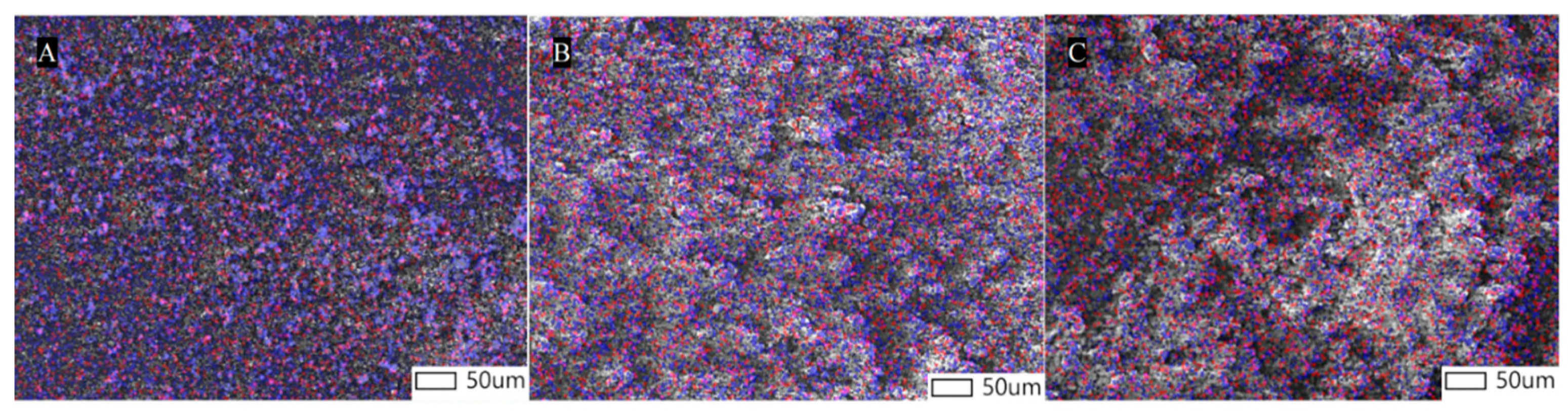 Pharmaceutics 16 00068 g006 Pharmaceutics 16 00068 g006