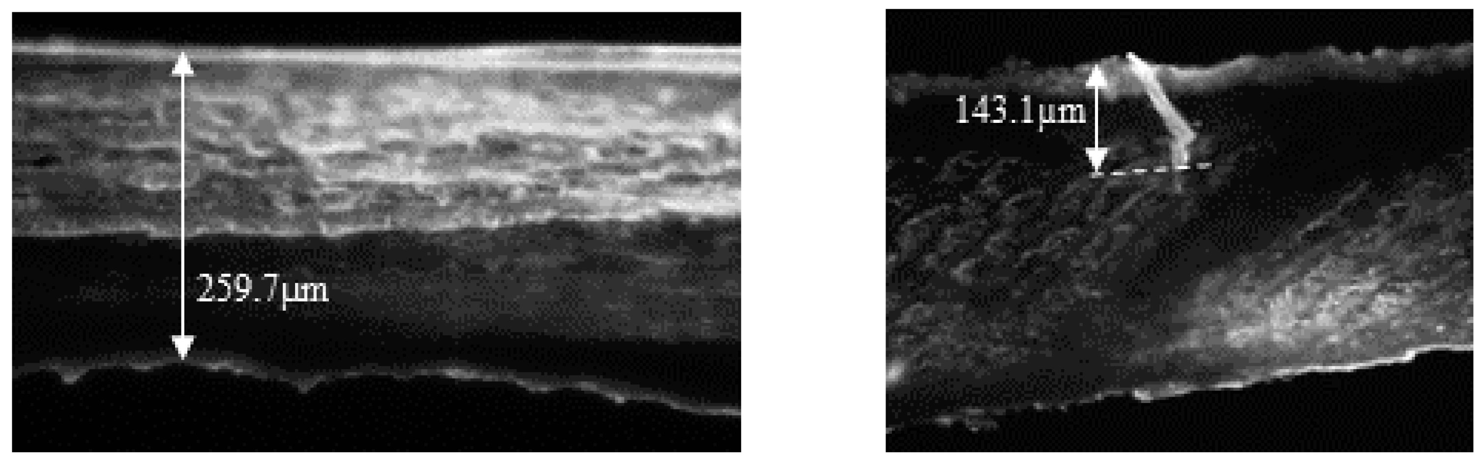 Pharmaceutics 16 00072 g002