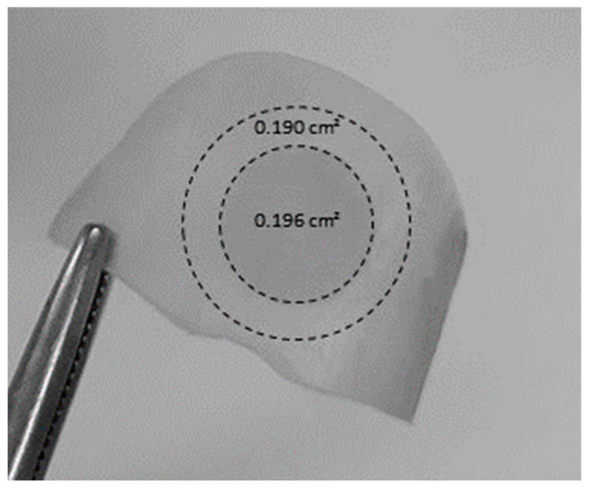 Pharmaceutics 16 00072 g003