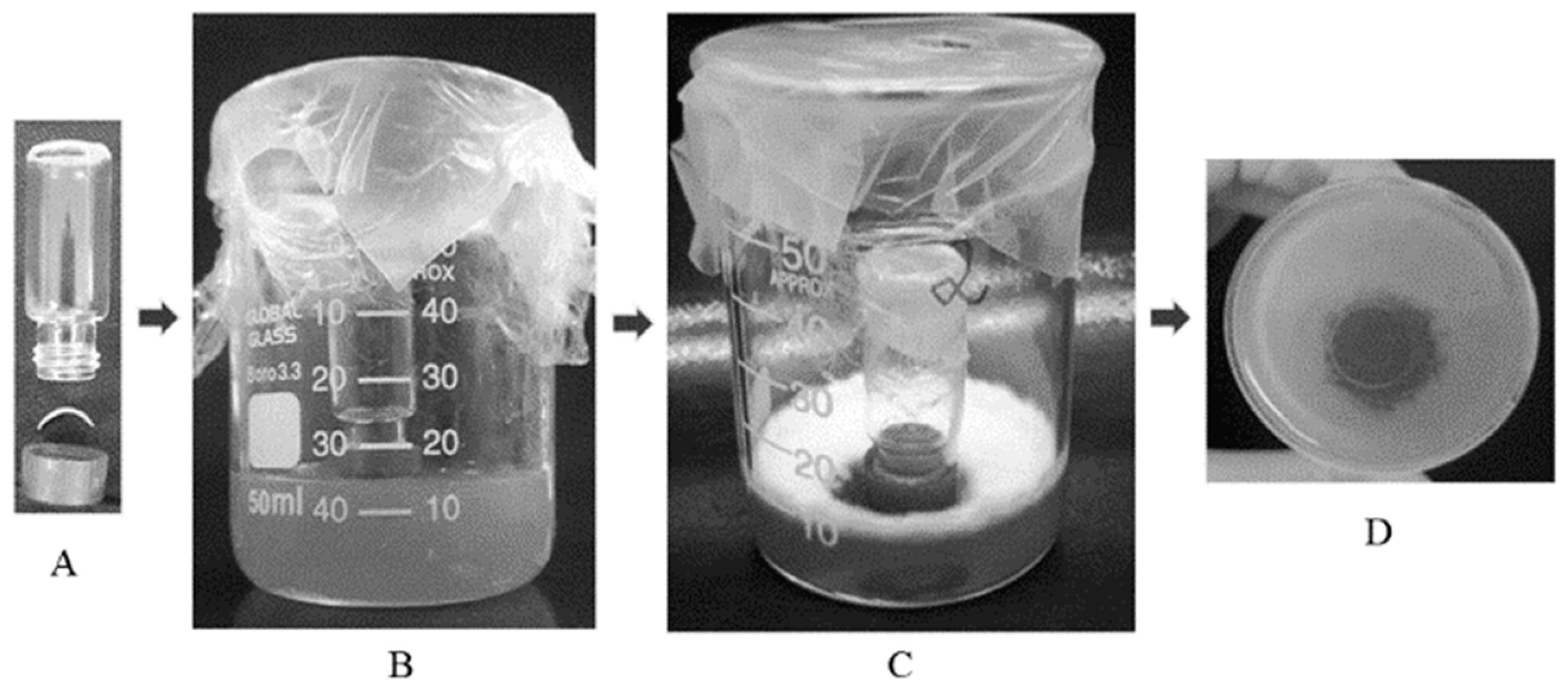 Pharmaceutics 16 00072 g004