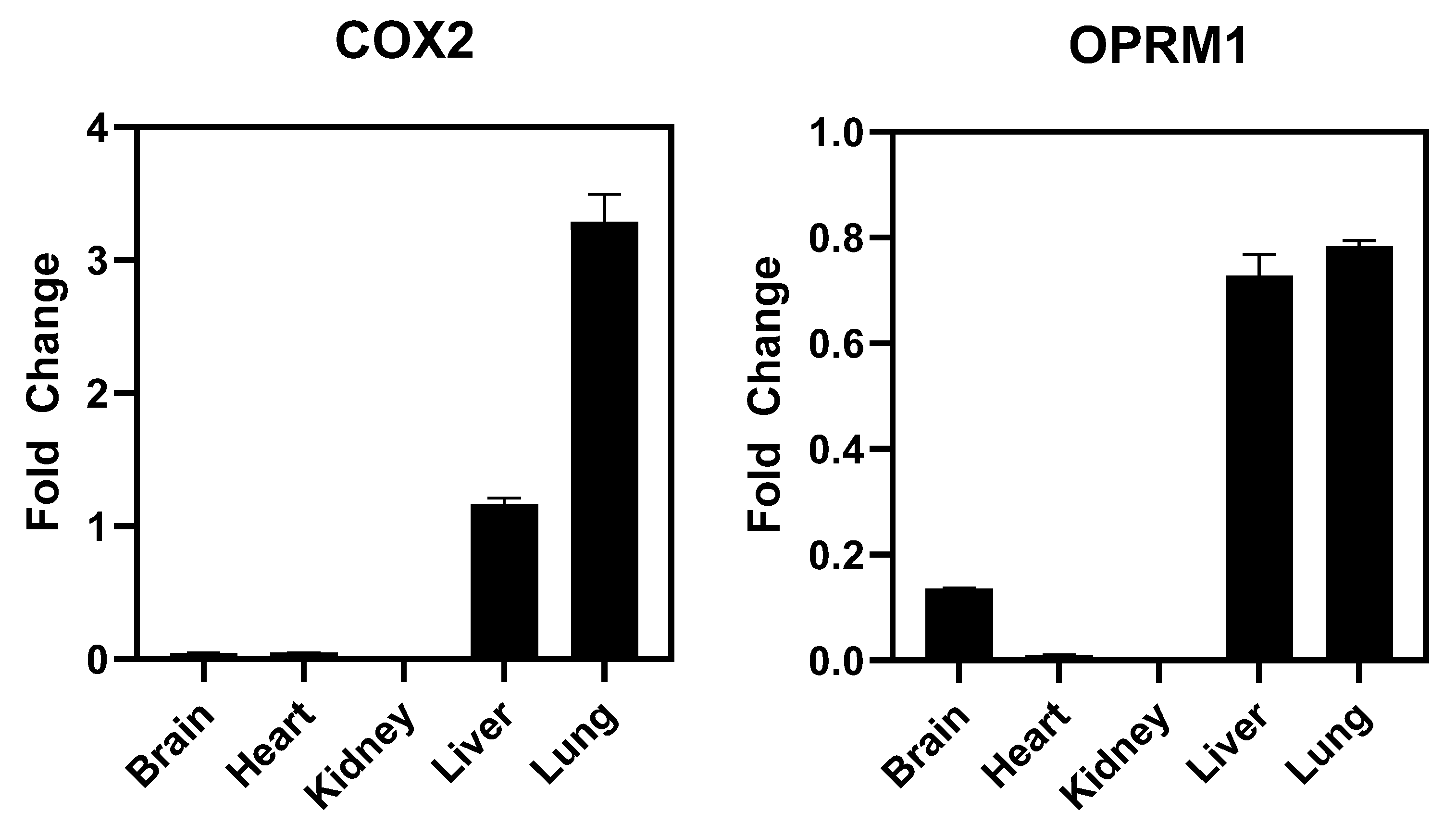 Pharmaceutics 16 00073 g004