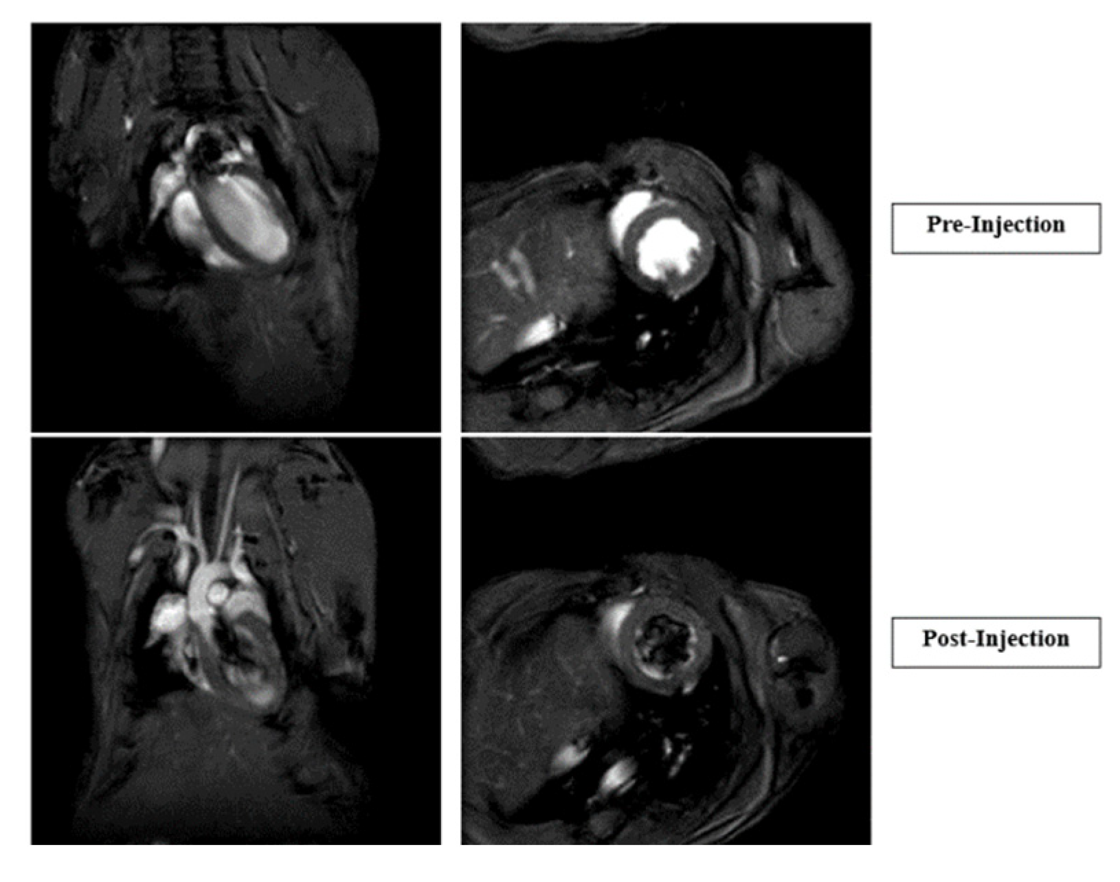 Pharmaceutics 16 00073 g007a