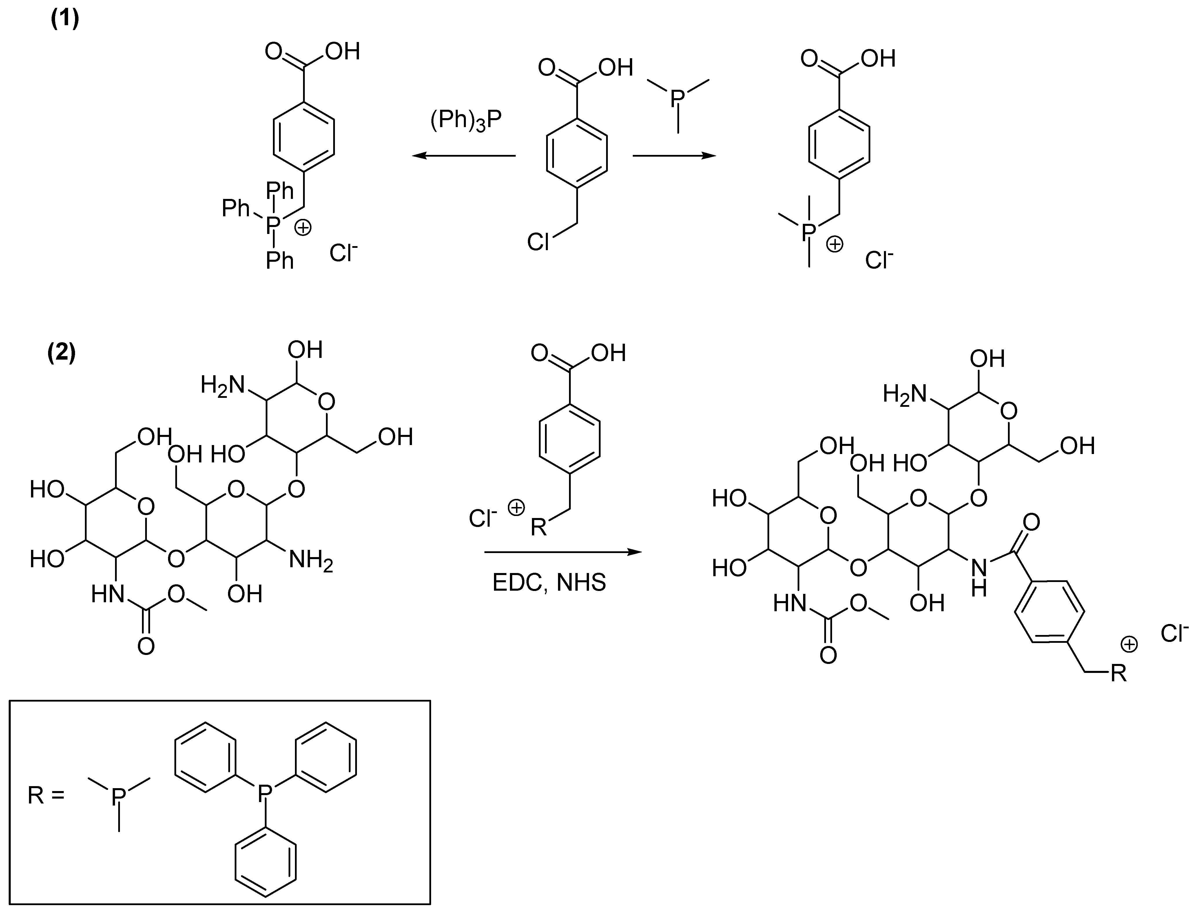 Pharmaceutics 16 00080 sch001