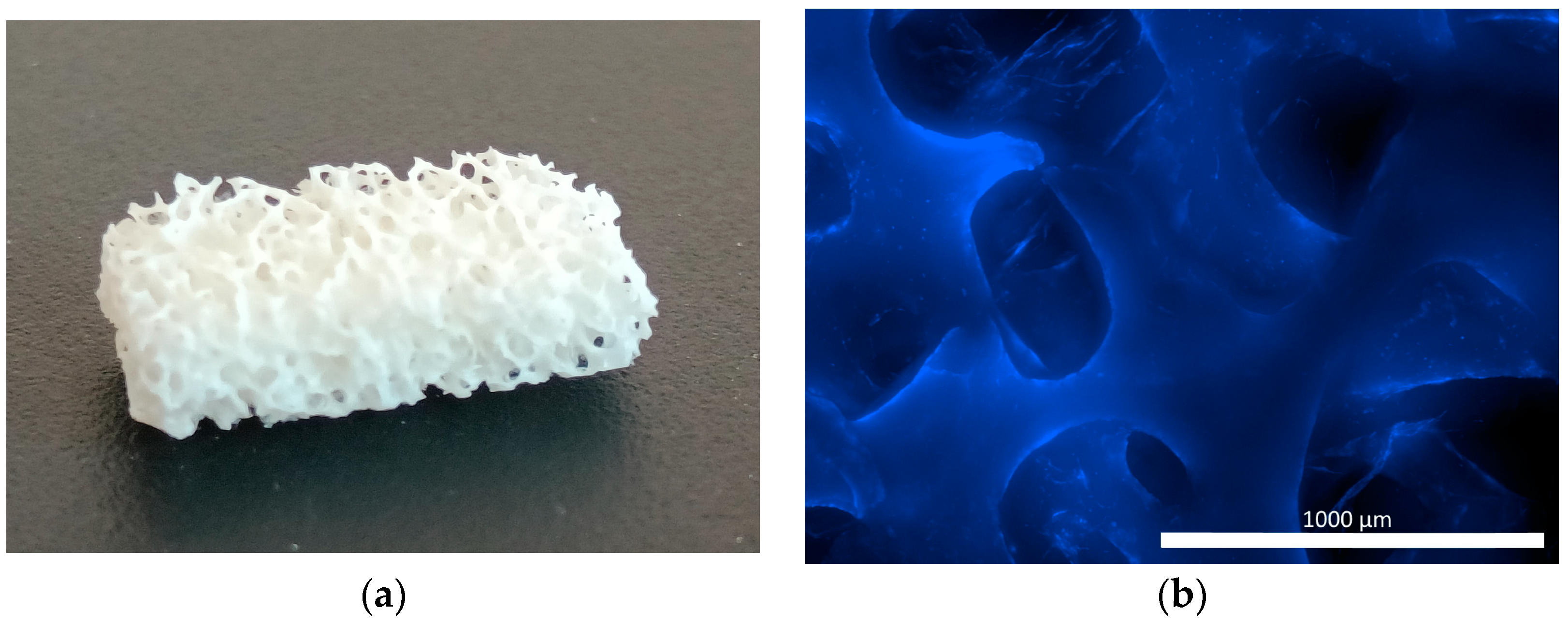 Pharmaceutics 16 00085 g001 Pharmaceutics 16 00085 g001