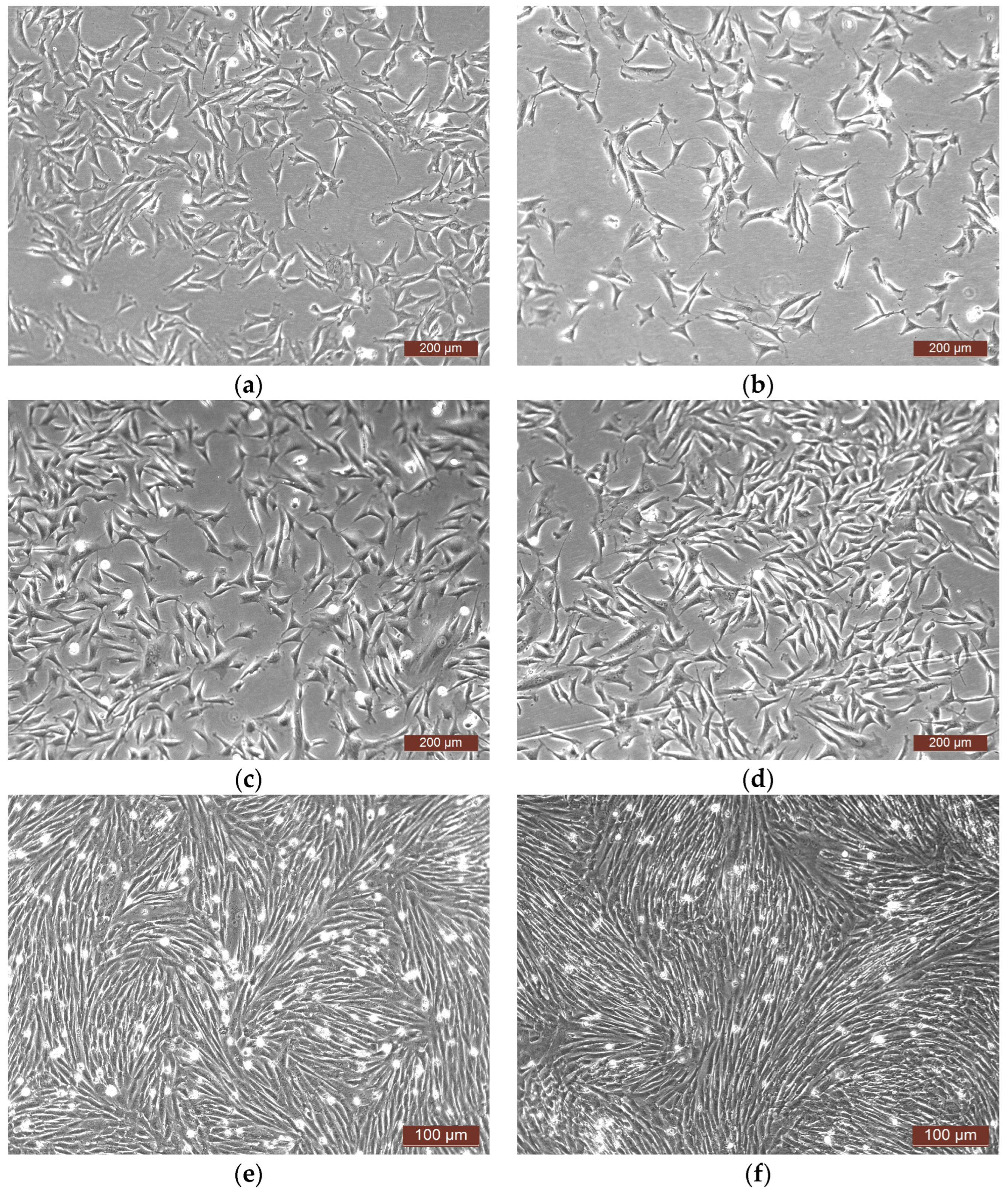 Pharmaceutics 16 00085 g003 Pharmaceutics 16 00085 g003