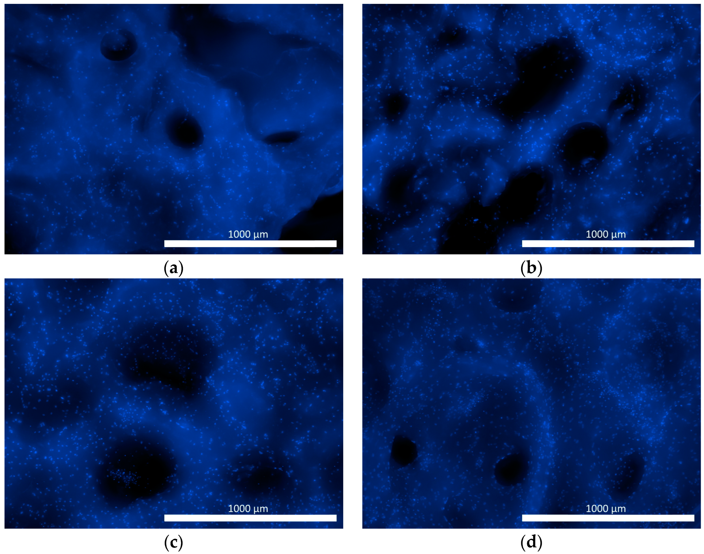 Pharmaceutics 16 00085 g004 Pharmaceutics 16 00085 g004