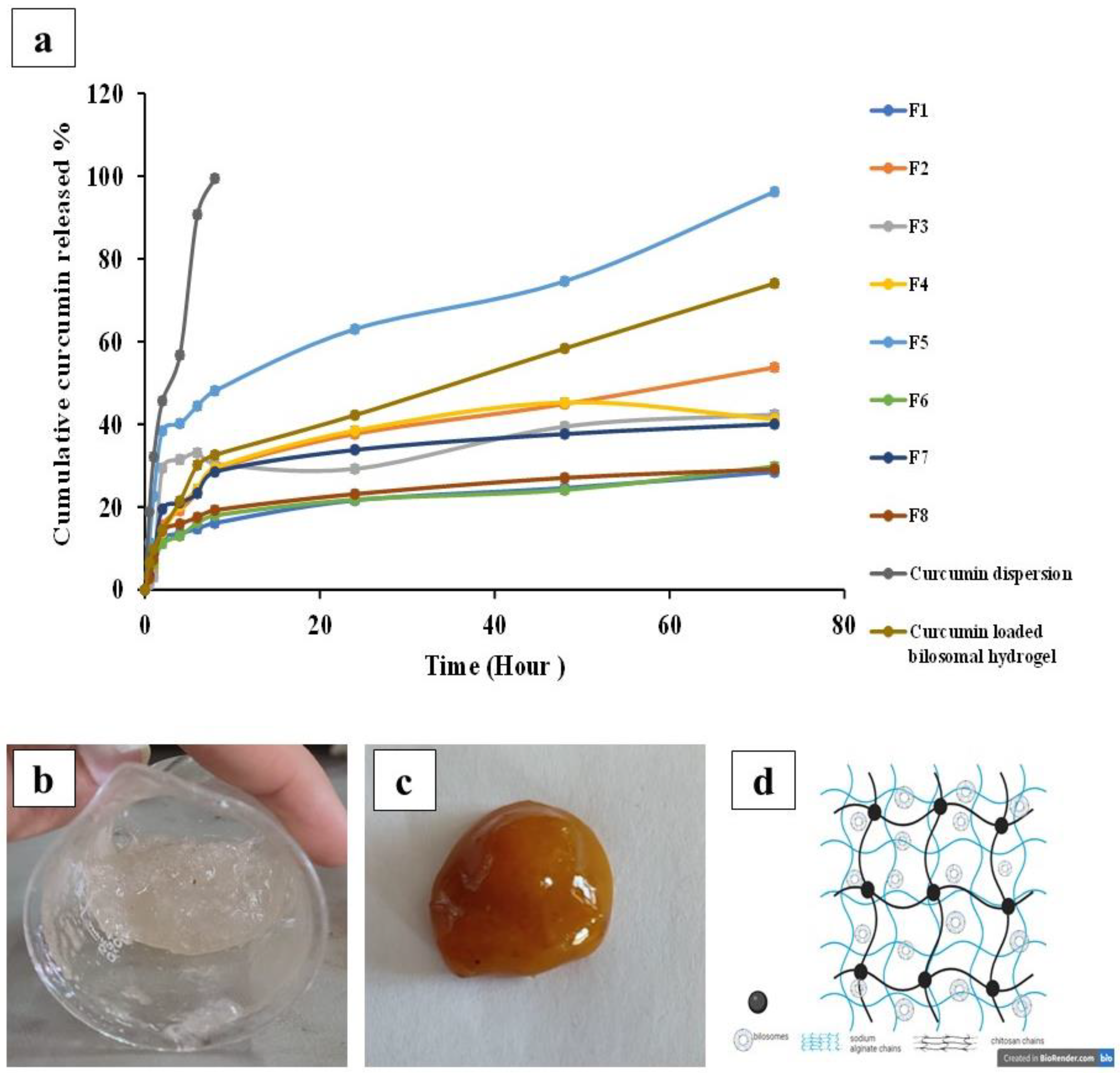 Pharmaceutics 16 00090 g003