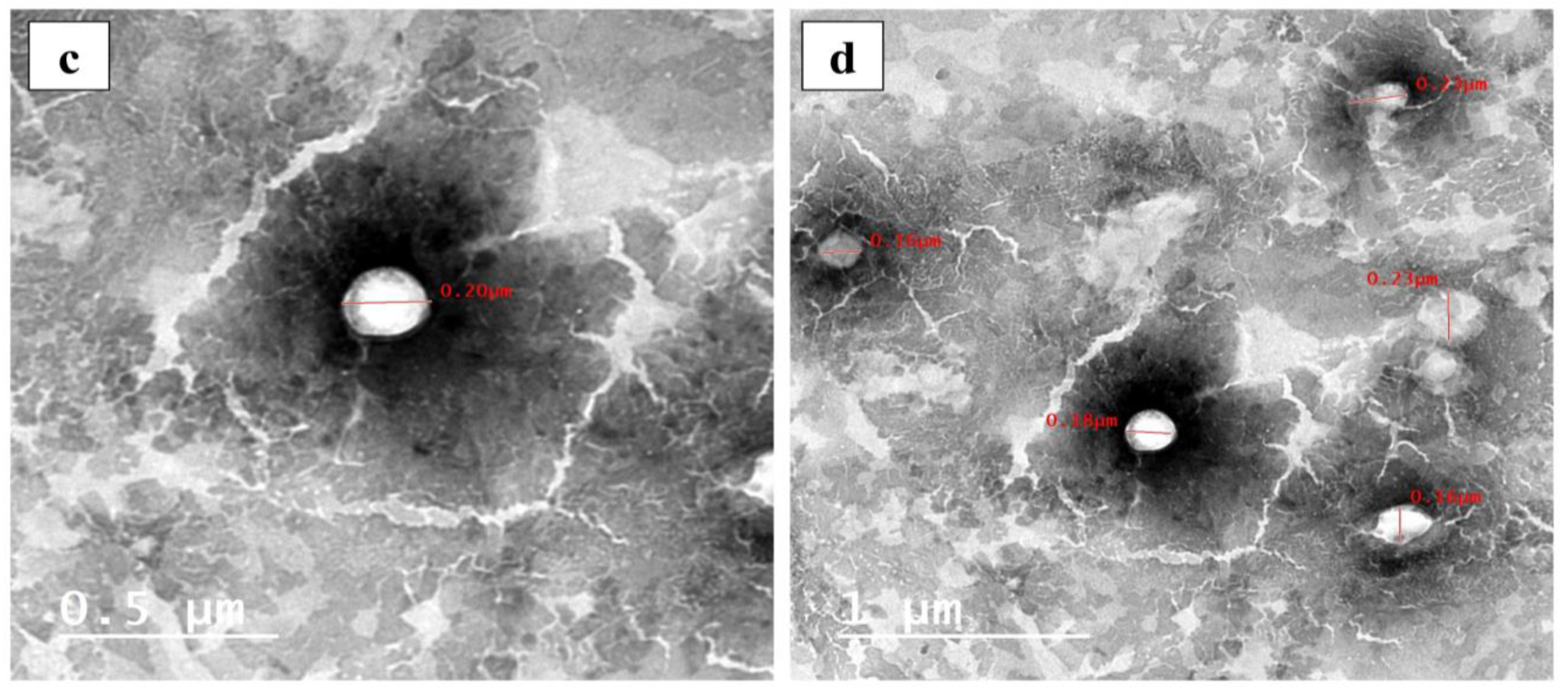 Pharmaceutics 16 00090 g004b