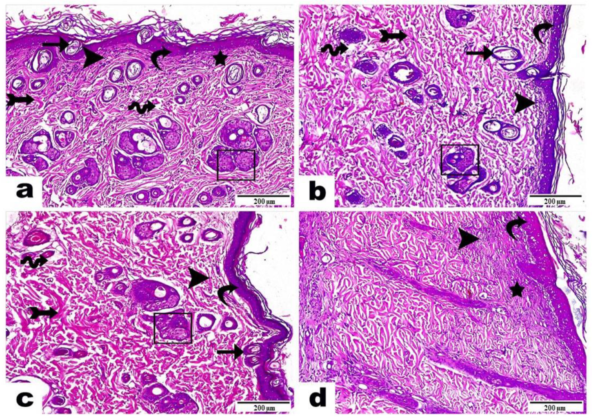 Pharmaceutics 16 00090 g008