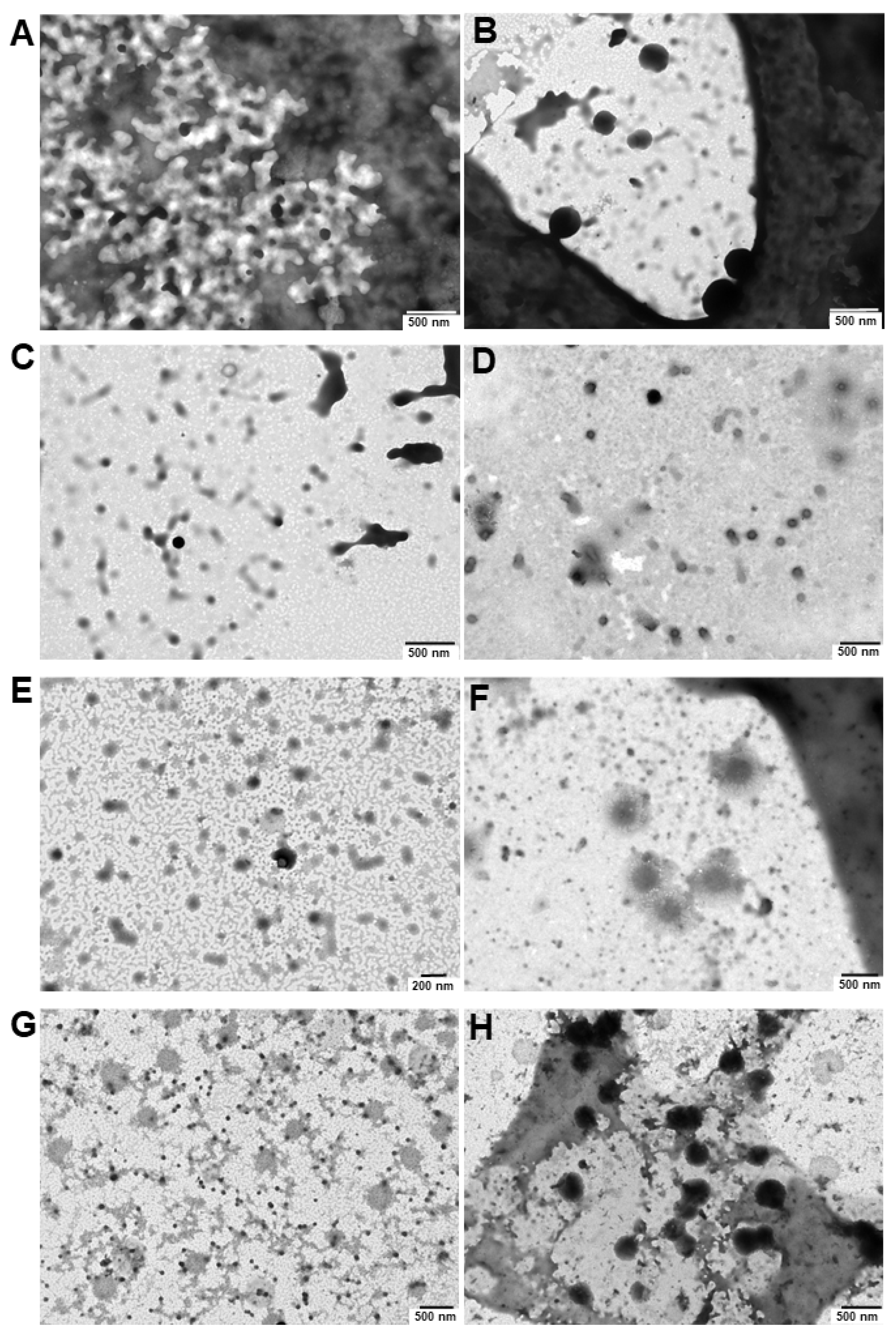 Pharmaceutics 16 00095 g005