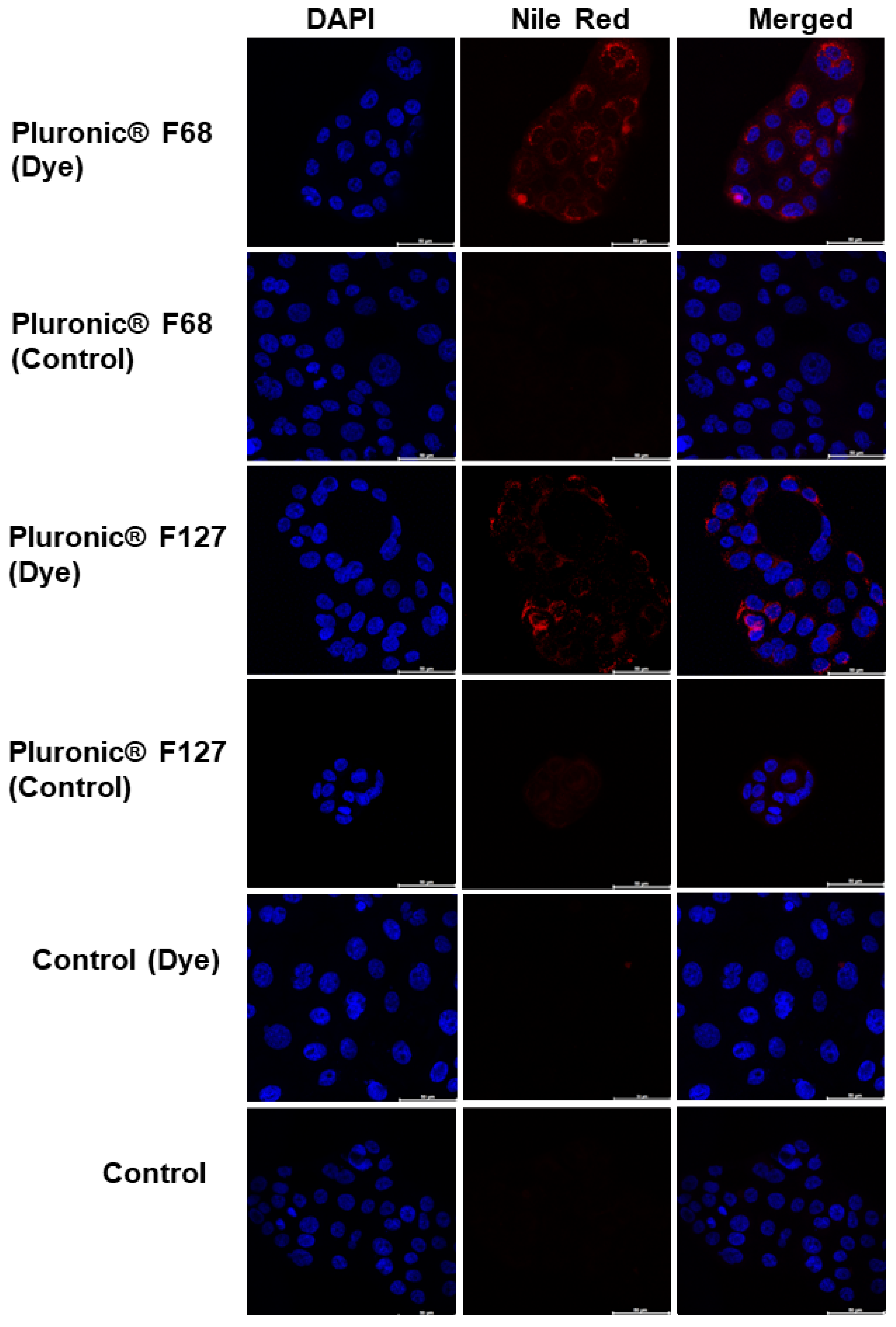 Pharmaceutics 16 00095 g014