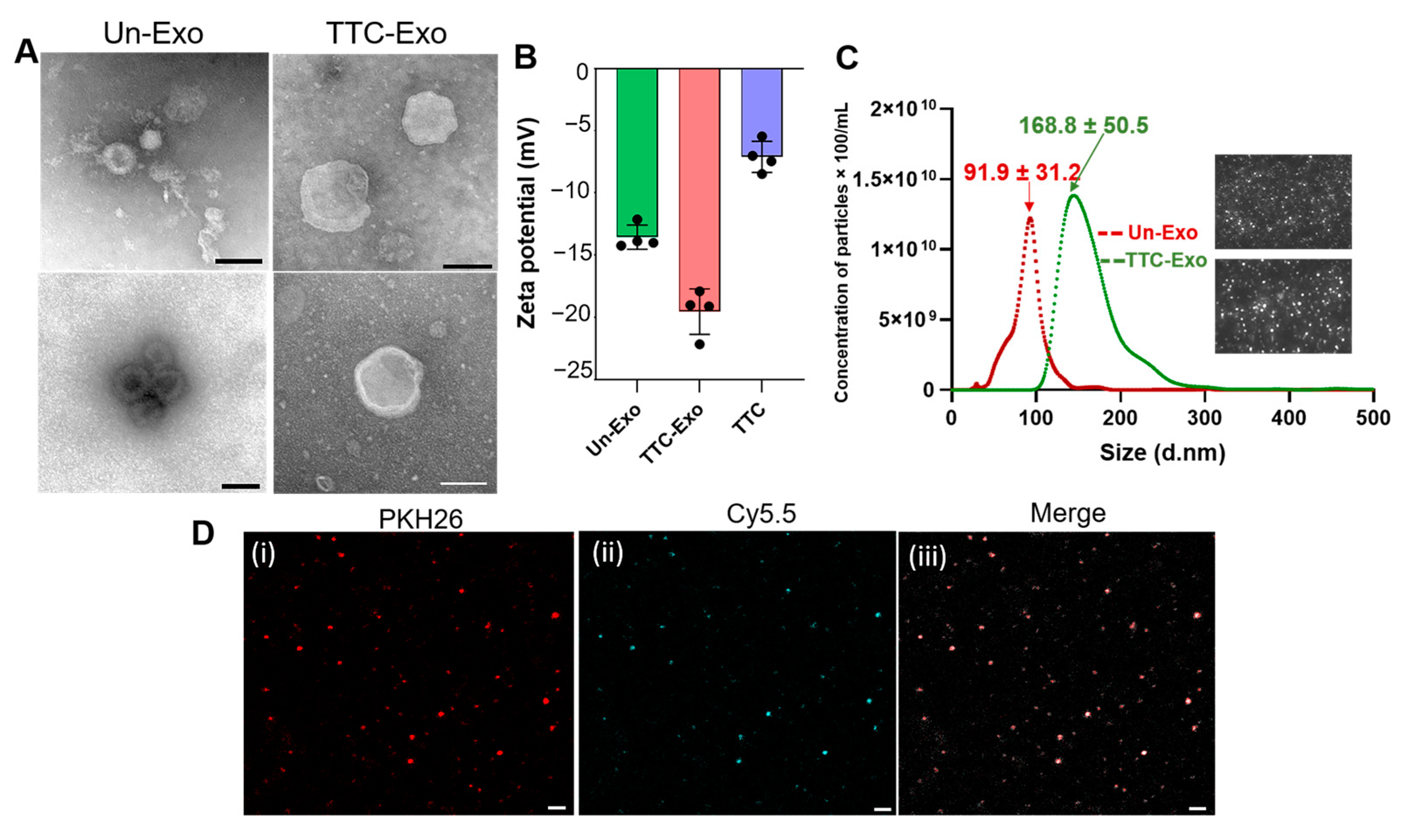 Pharmaceutics 16 00102 g003