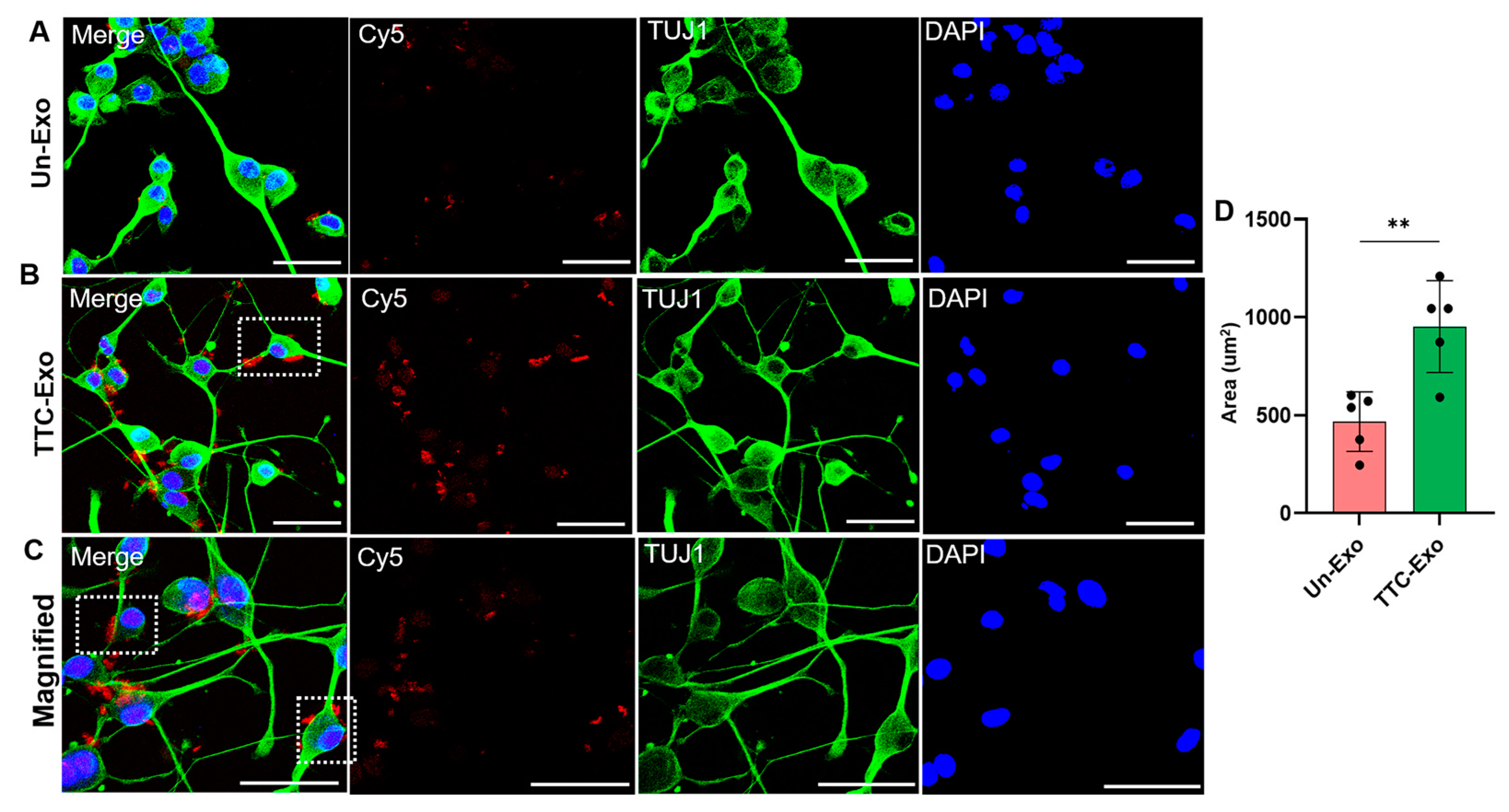 Pharmaceutics 16 00102 g004