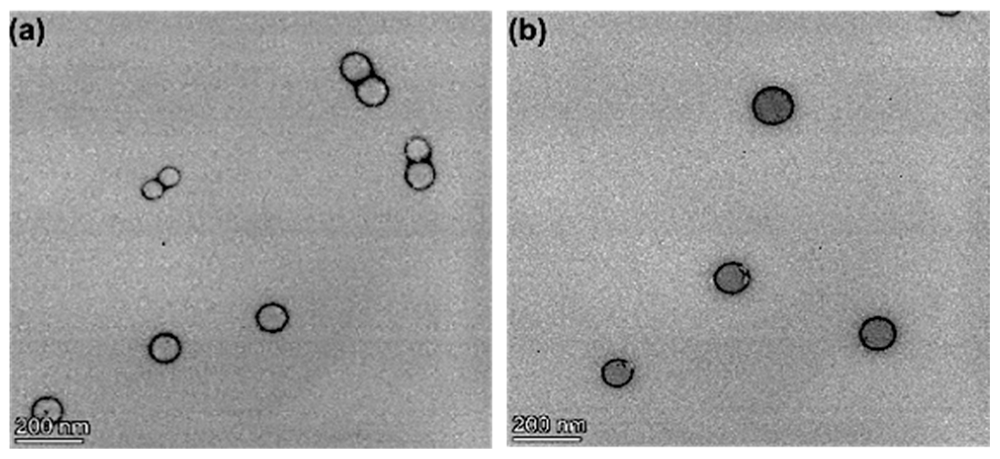 Pharmaceutics 16 00114 g001