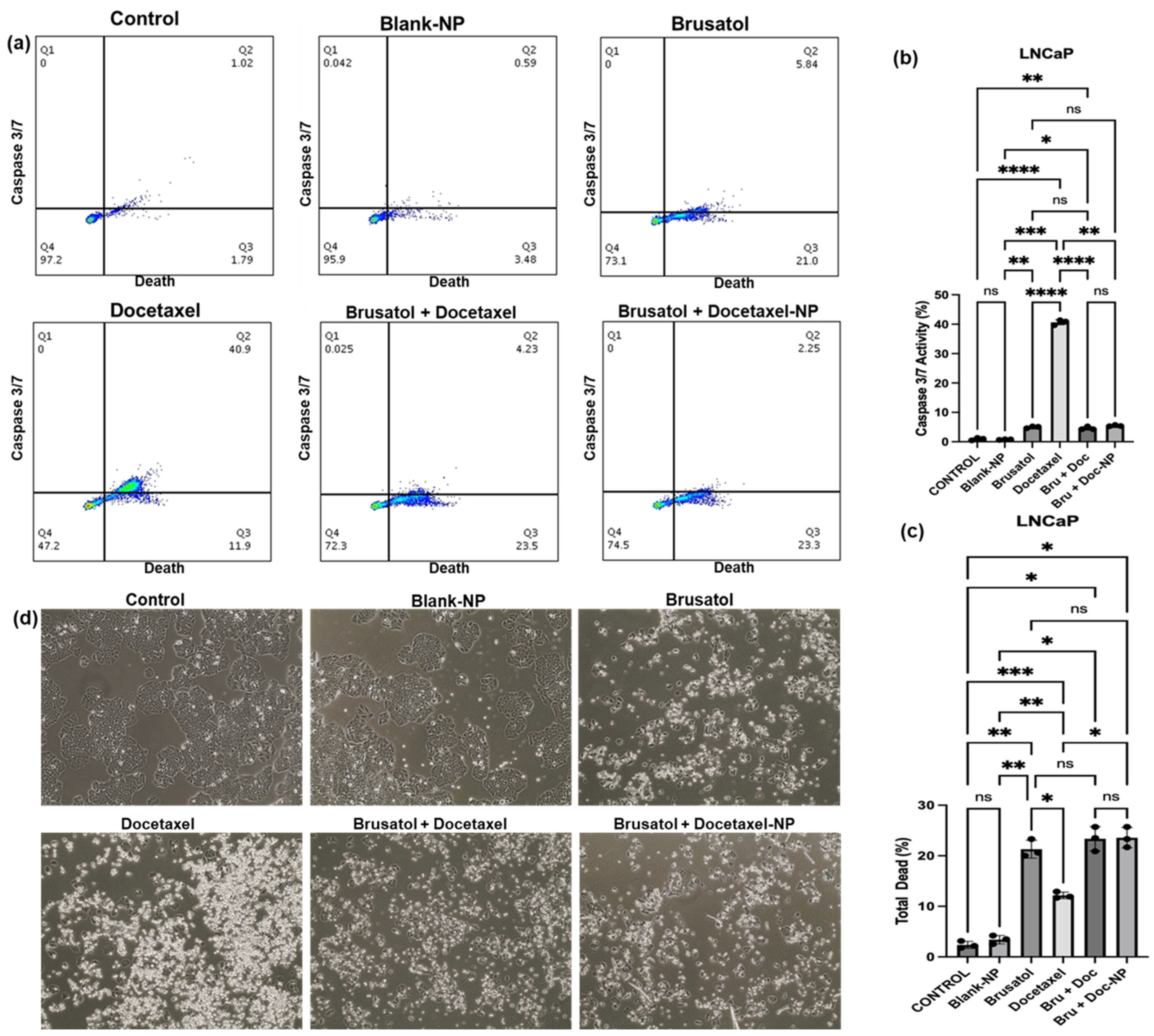 Pharmaceutics 16 00114 g012