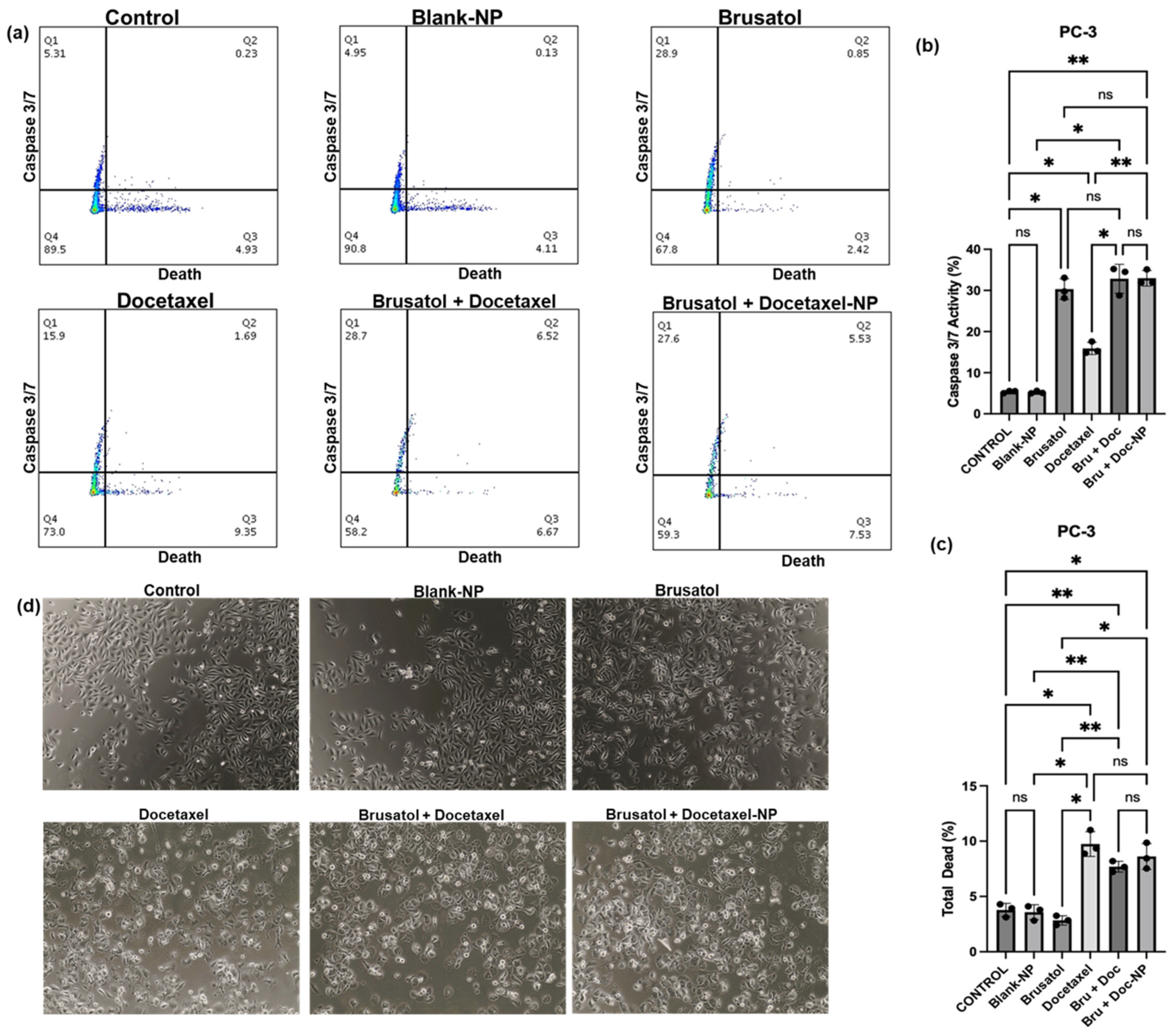 Pharmaceutics 16 00114 g013