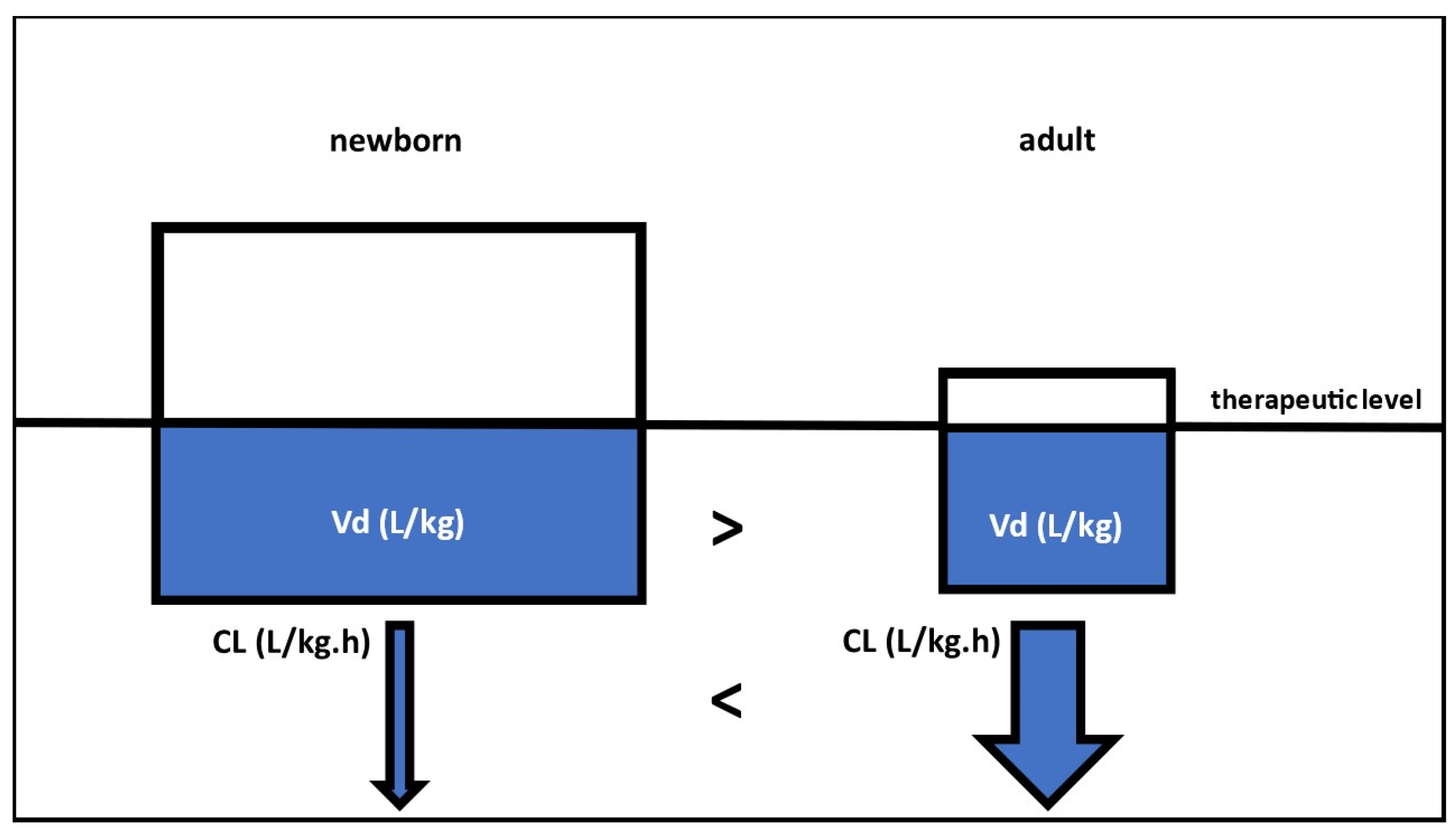 Pharmaceutics 16 00128 g001