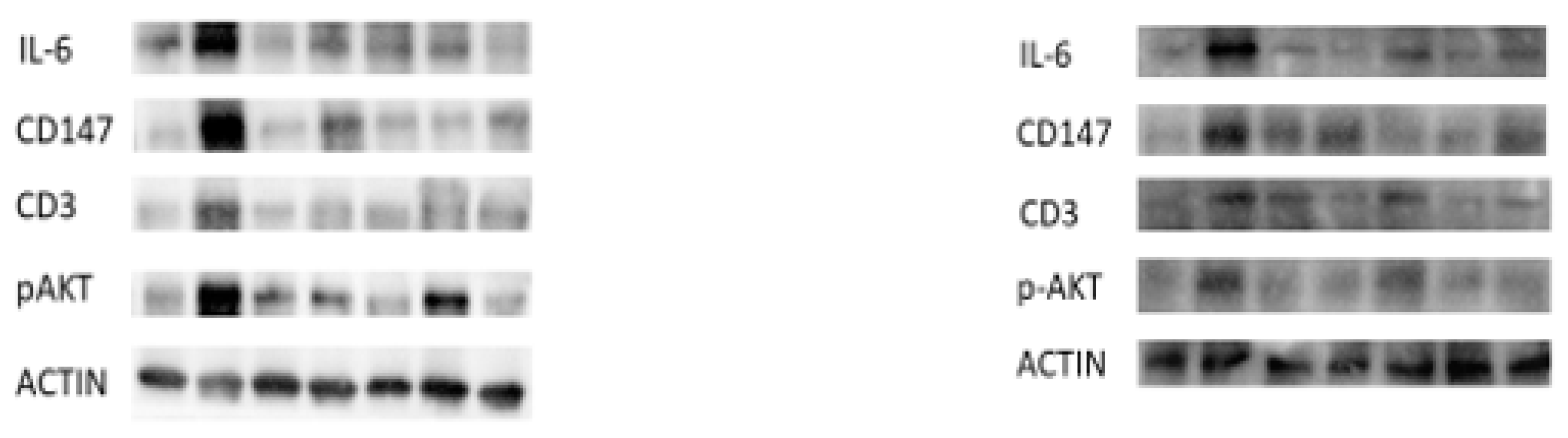 Pharmaceutics 16 00130 g005