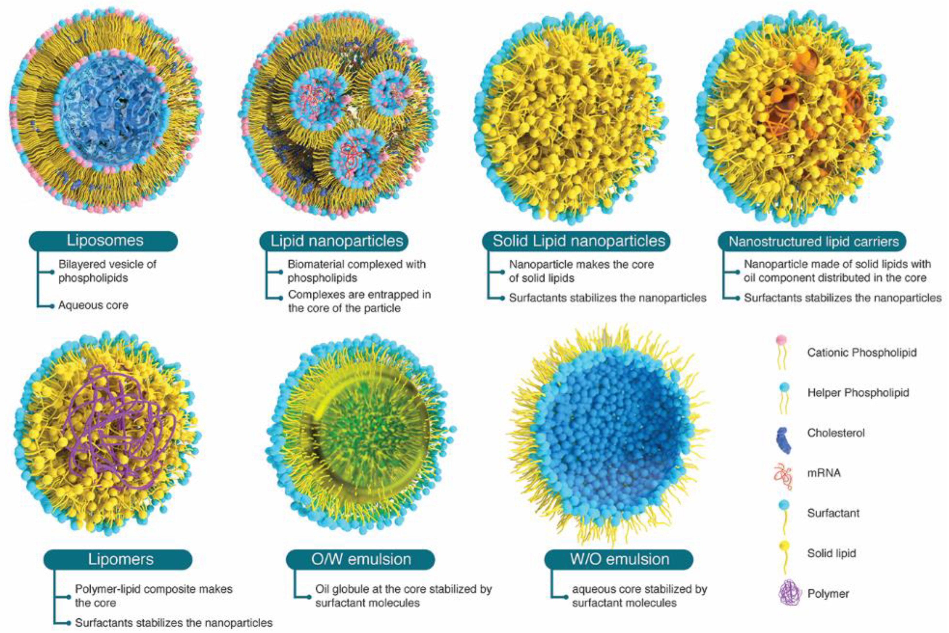 Pharmaceutics 16 00131 g002