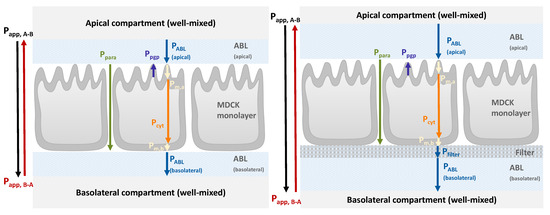 Pharmaceutics 16 00132 g001